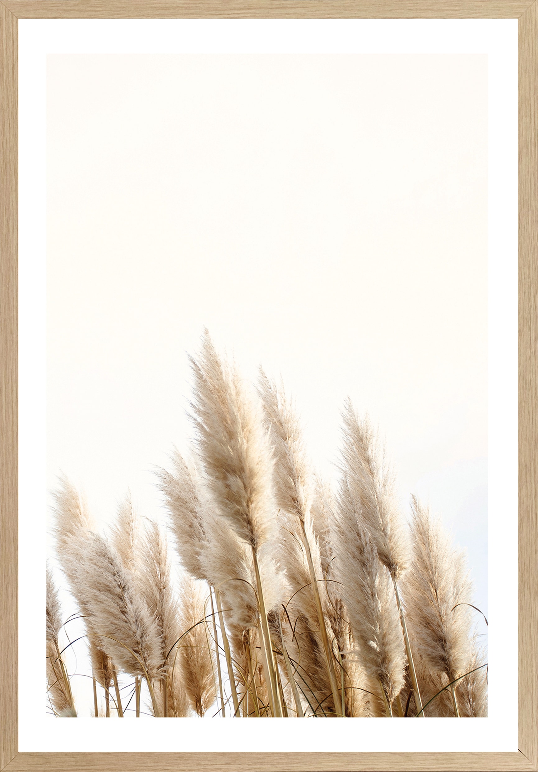 Bönninghoff Bild mit Rahmen »Trockenblumen«, Gräser, (1 St.), BxH: 50x70 cm  bei OTTO