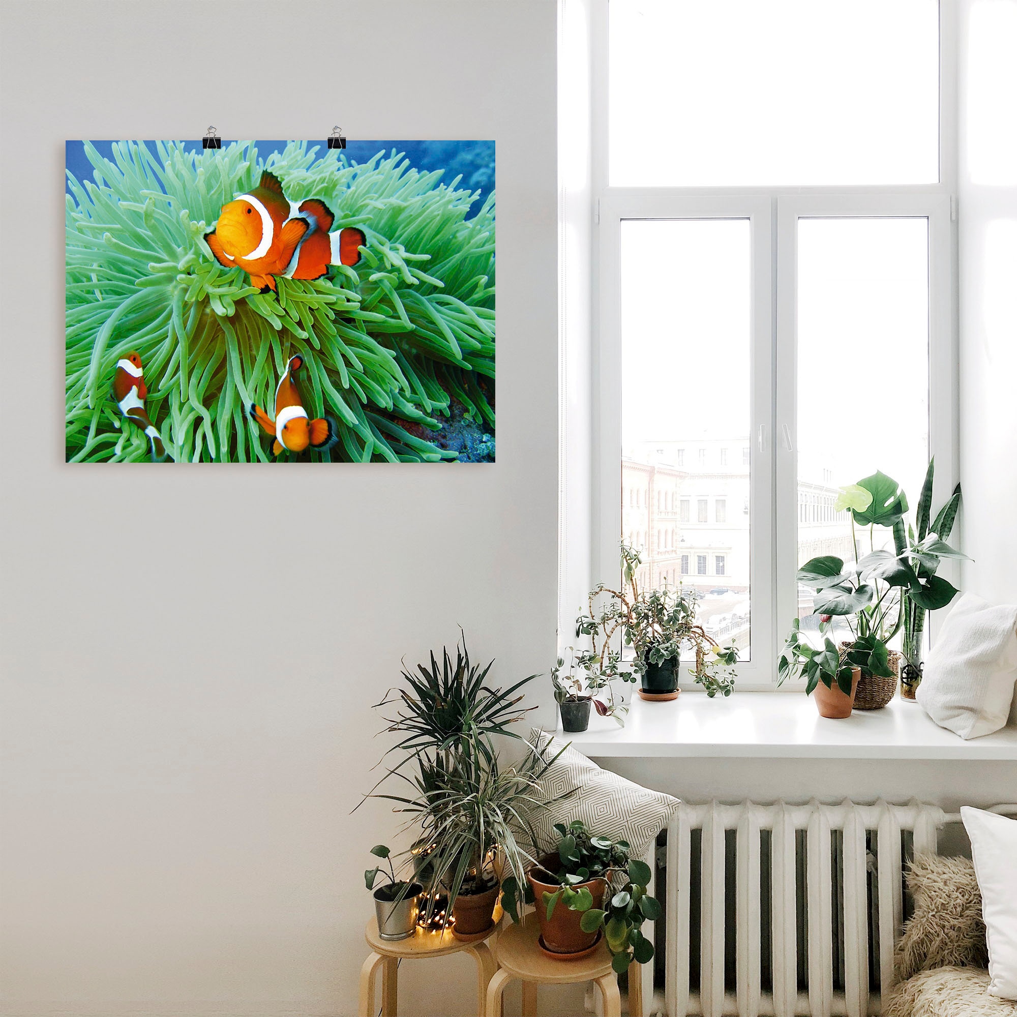 Artland Wandbild »Finde Nemo«, Wassertiere, (1 St.), als Poster, Wandaufkleber in verschied. Größen