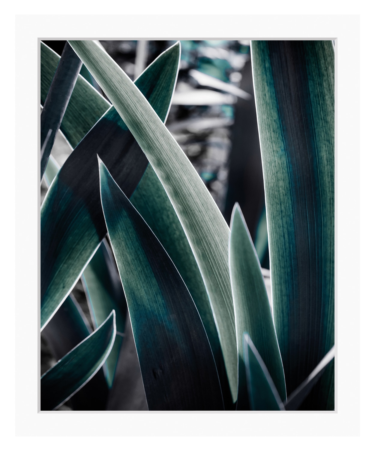 queence Bild »Juli«