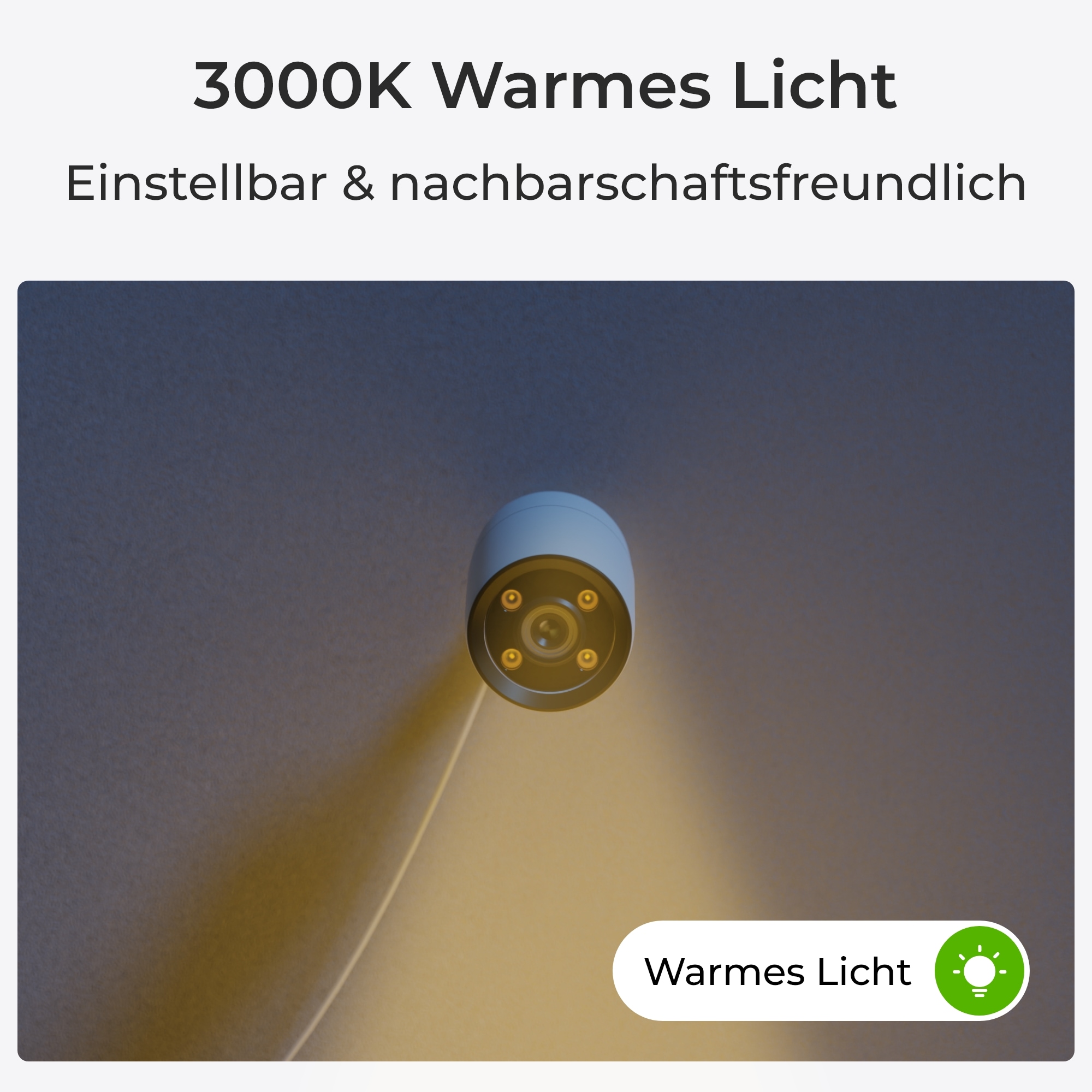 Reolink Überwachungskamera »ColorX Series P320X«, Außenbereich-Innenbereich, Vollfarb-Nachtsicht