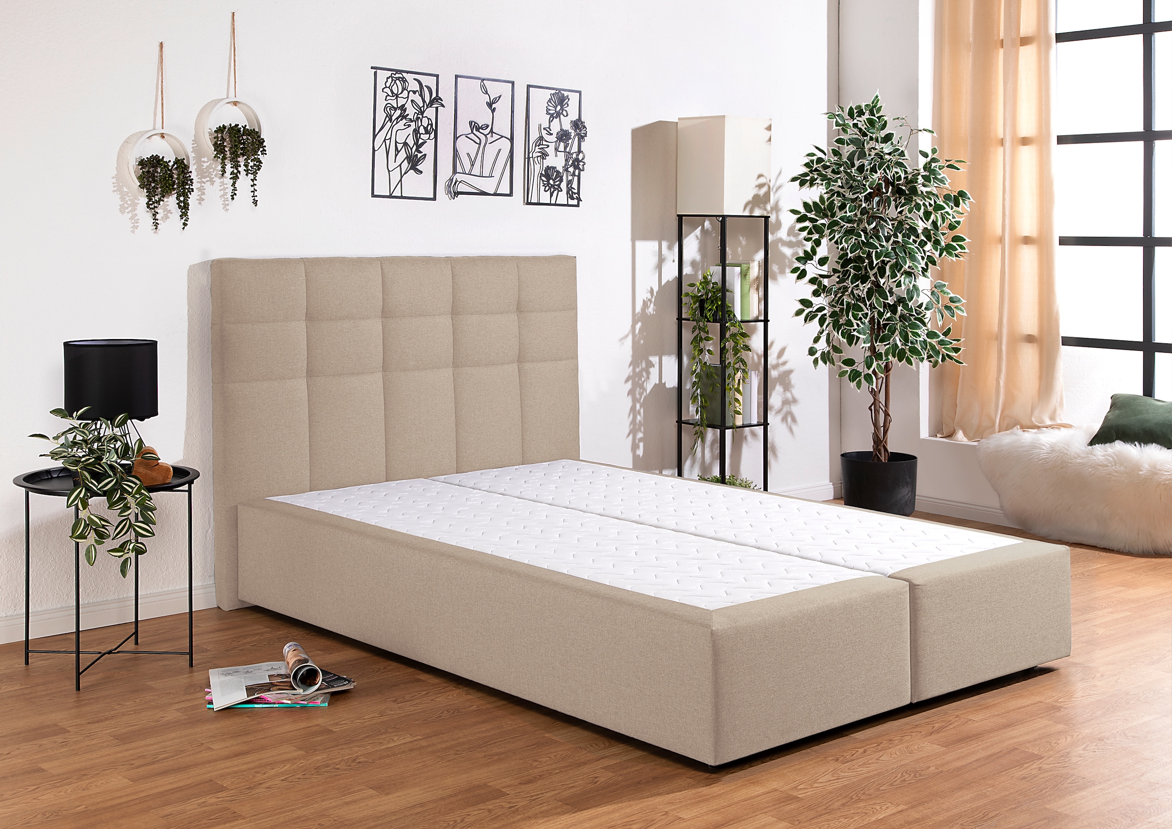 INOSIGN Boxbett »Ovalo« wahlweise mit Bettkasten, in H2, H3 & H4 erhältilich