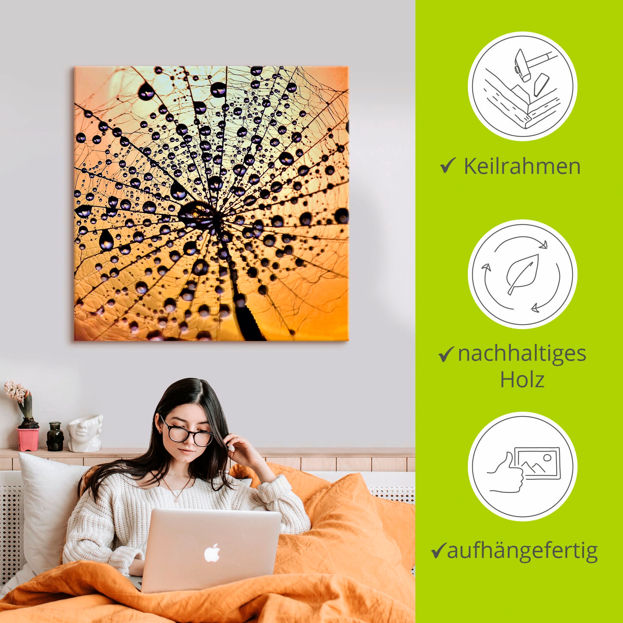 Artland Wandbild »Pusteblume Tröpfchenfang«, Blumen, (1 St.), als Leinwandbild, Wandaufkleber in verschied. Größen