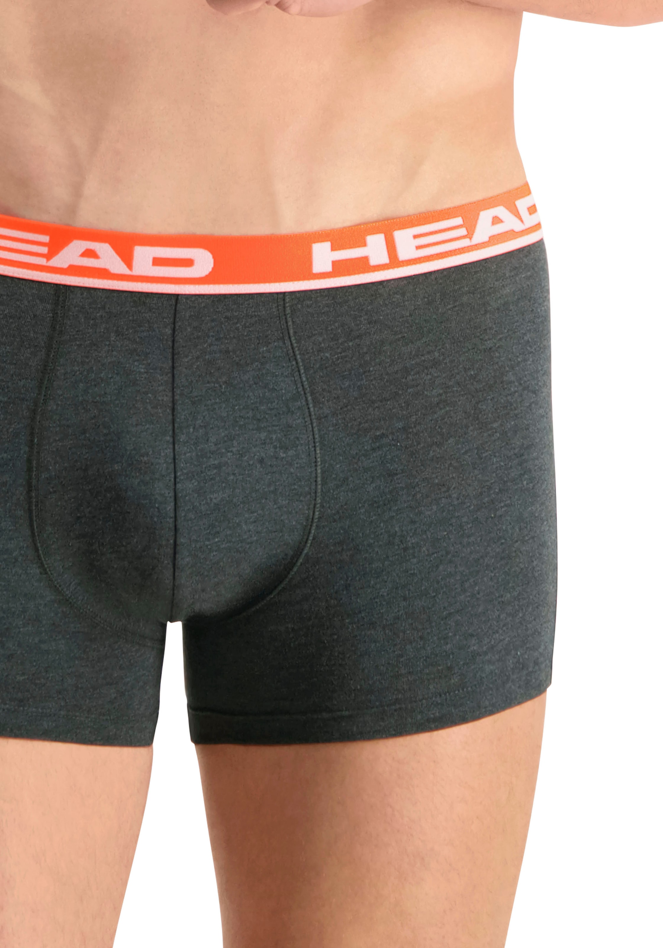 Head Boxershorts »HEAD BASIC BOXER 2P«, (2er Pack), mit elastischem Logobund