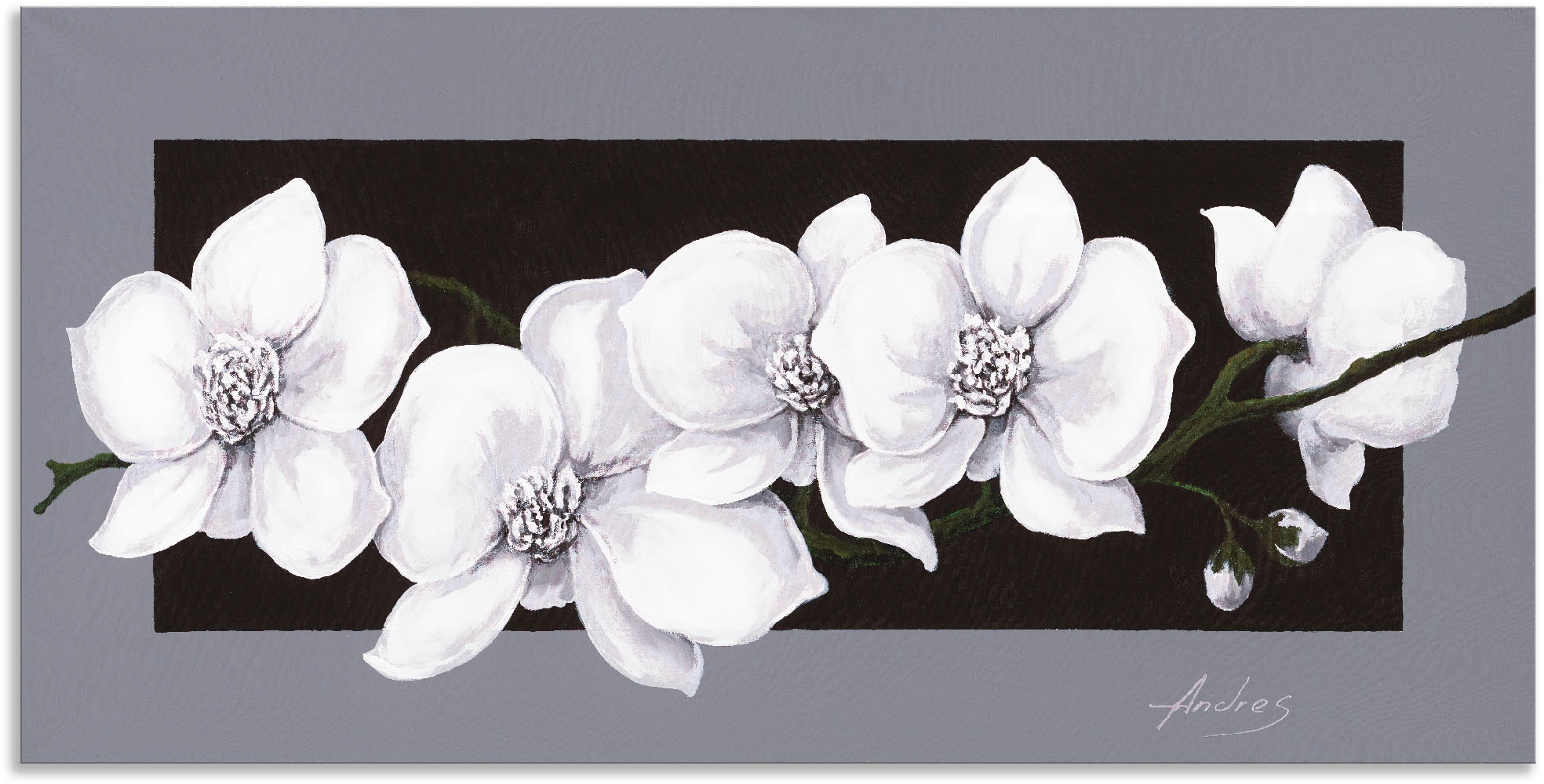 Artland Wandbild »Weiße Orchideen auf grau«, Blumen, (1 St.), als Alubild, Outdoorbild, Leinwandbild, Poster, Wandaufkleber