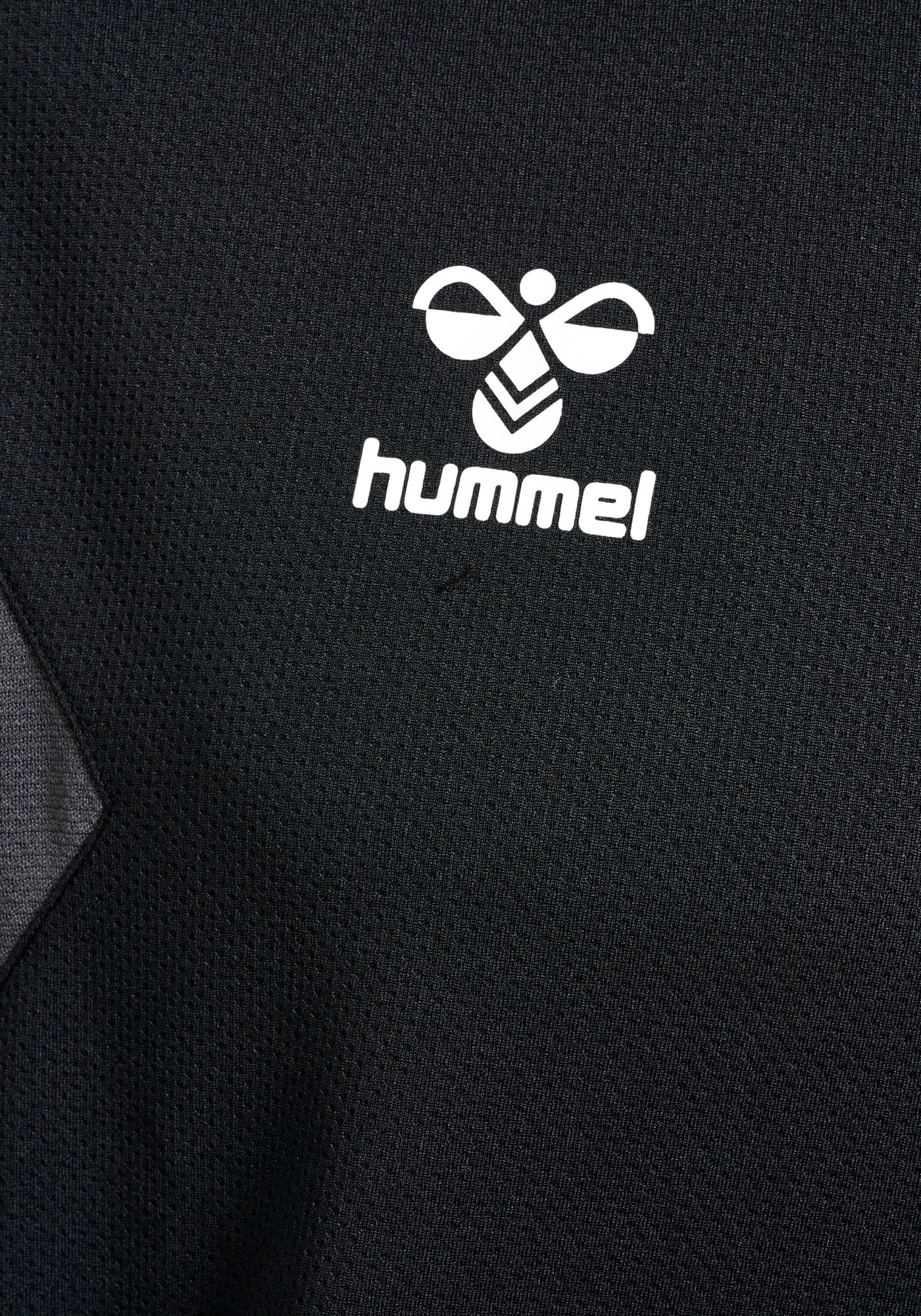 hummel Hoodie »HMLAUTHENTIC PL HOODIE«, (1 tlg.)