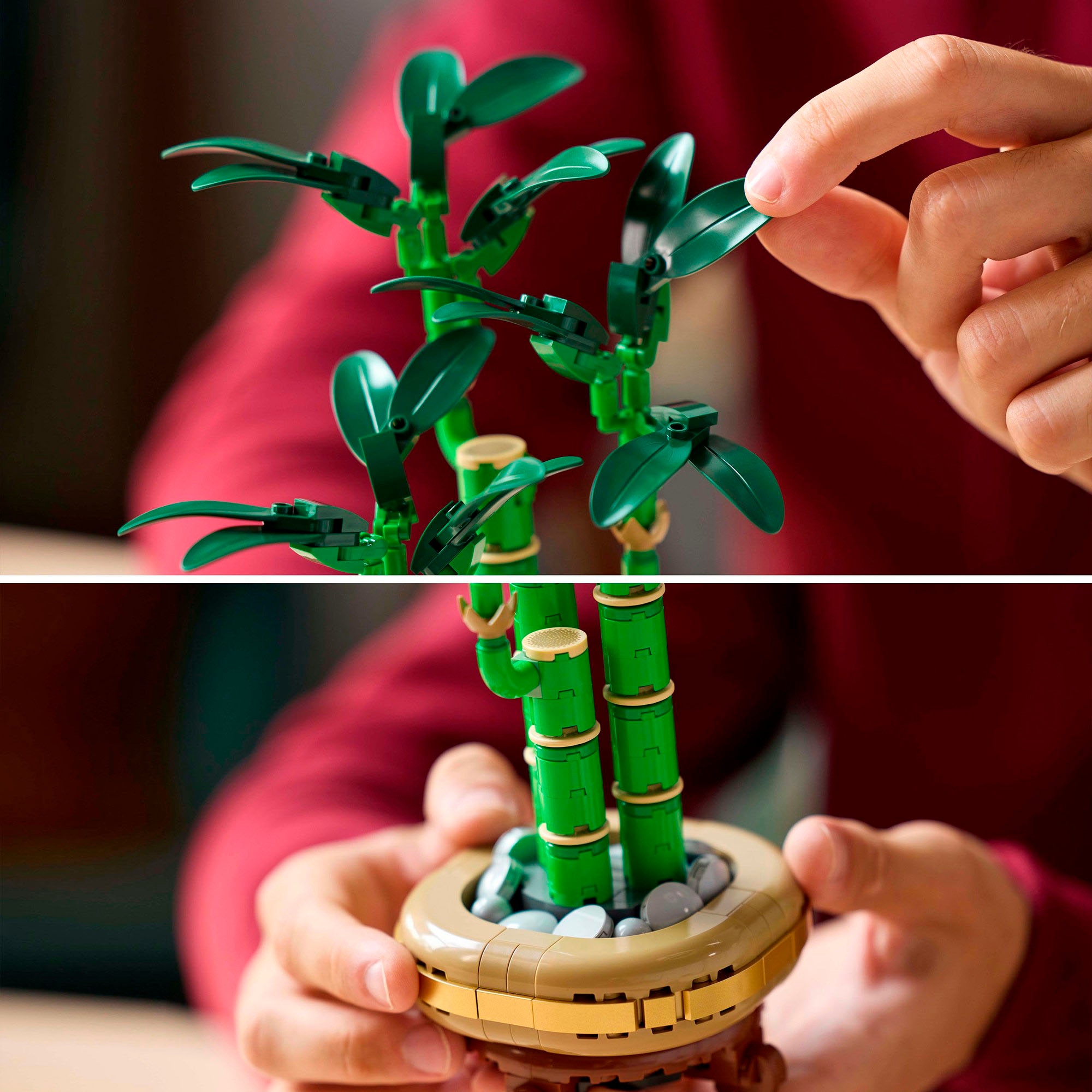LEGO® Konstruktionsspielsteine »Glücks-Bambus (10344), LEGO Botanicals«, (325 St.), Made in Europe