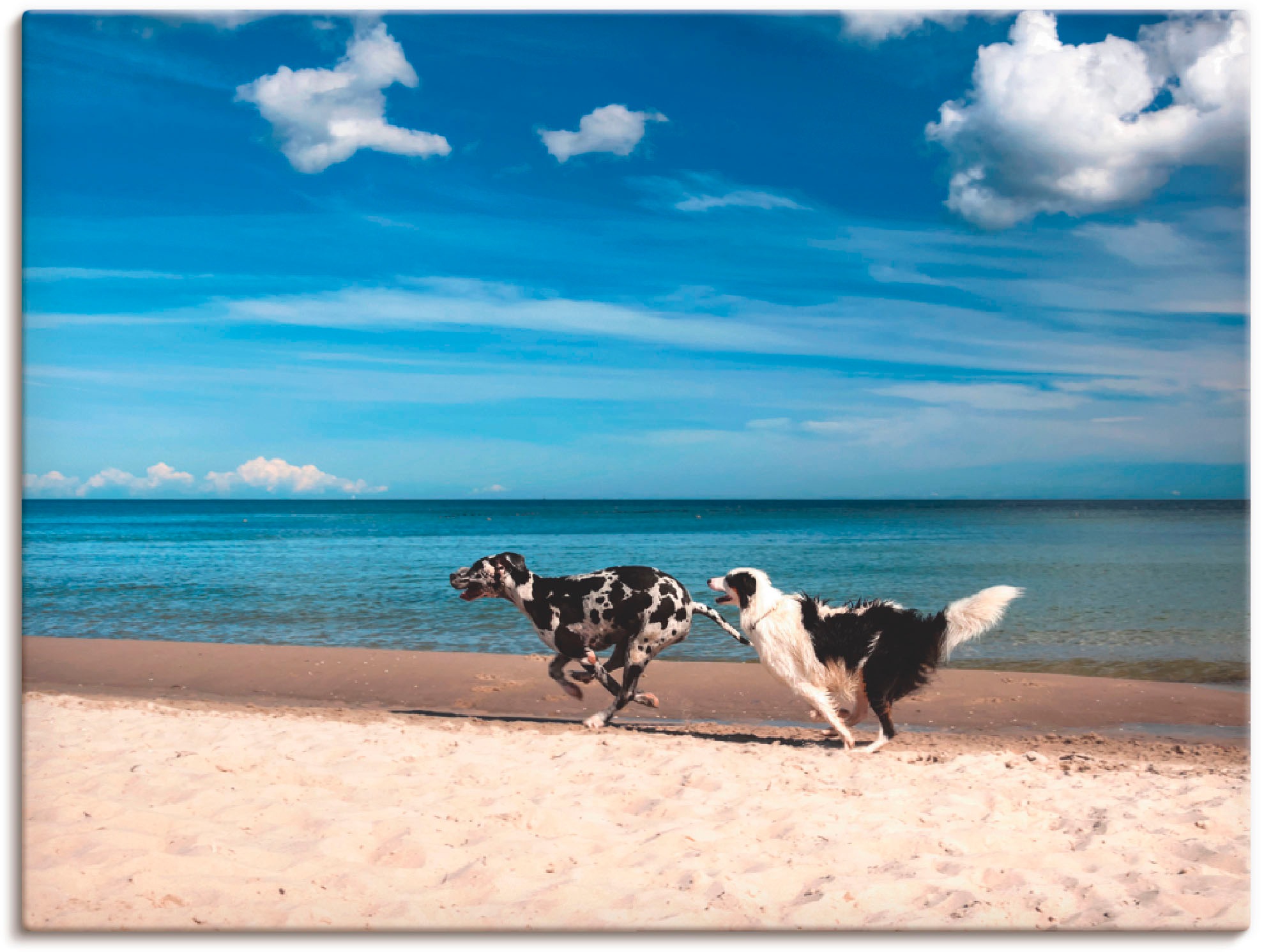 Artland Wandbild »Spielende Hunde am Strand«, Haustiere, (1 St.), in vielen Größen & Produktarten -Leinwandbild, Poster, Wandaufkleber / Wandtattoo auch für Badezimmer geeignet