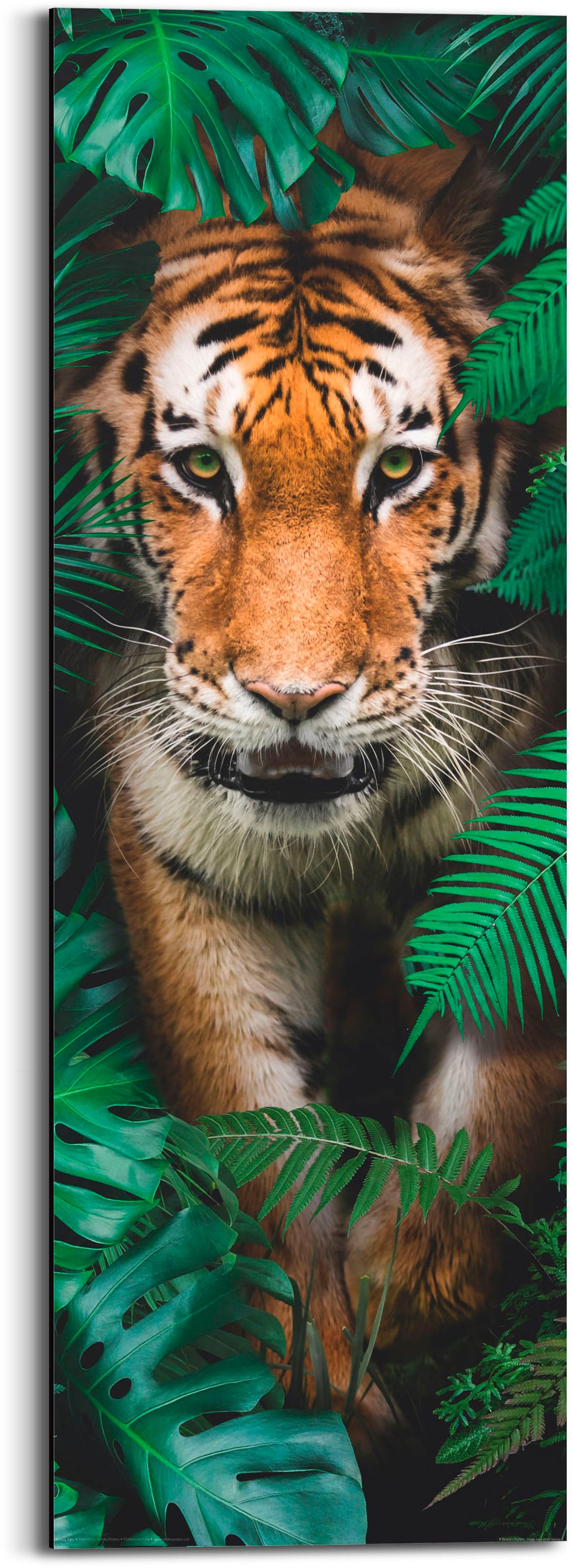 Reinders! Holzbild »Walking Tiger«, (1 St.) kaufen im OTTO Online Shop