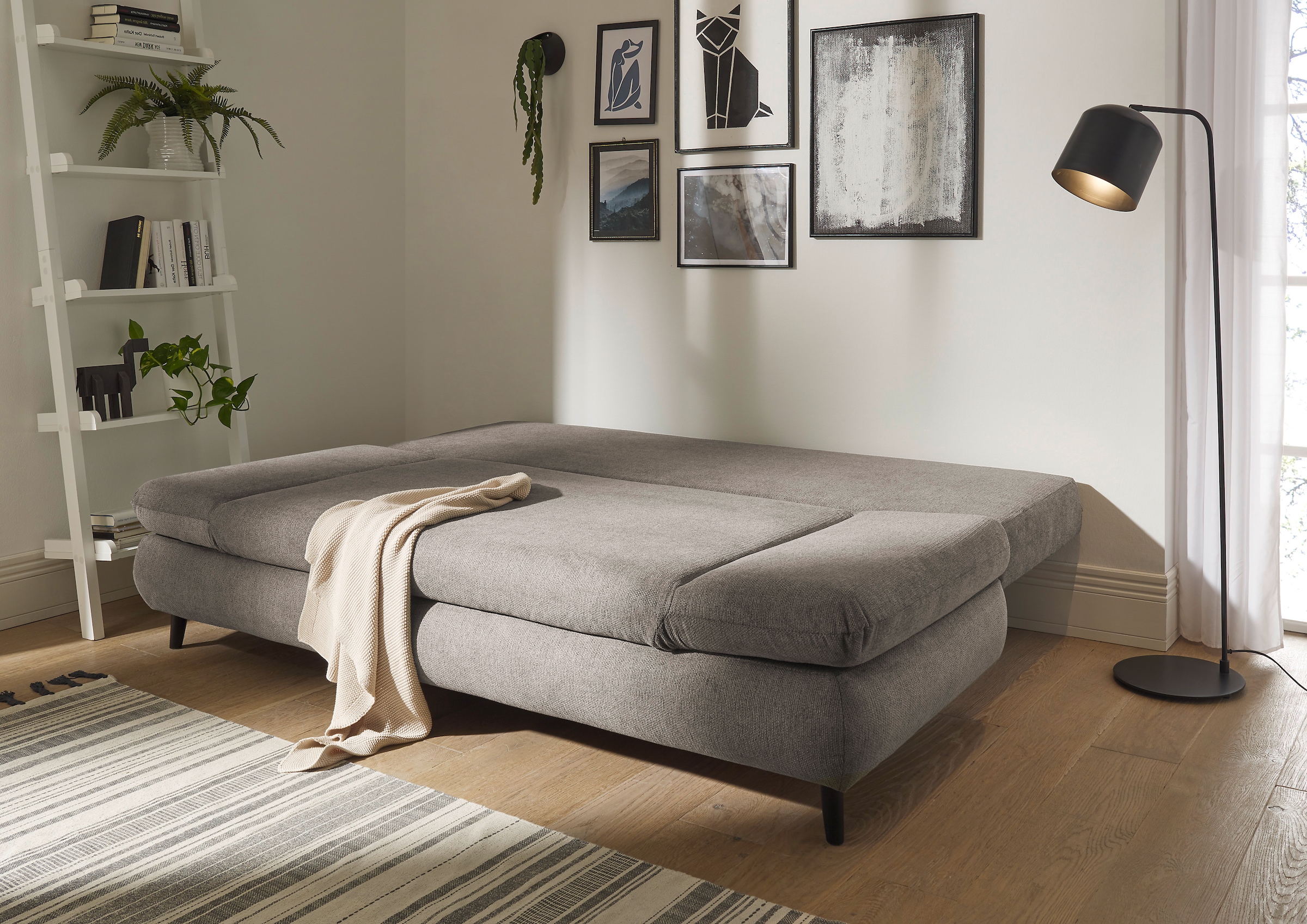 ED EXCITING DESIGN Schlafsofa »Sunny« mit Bettkasten & Armteilverstellung