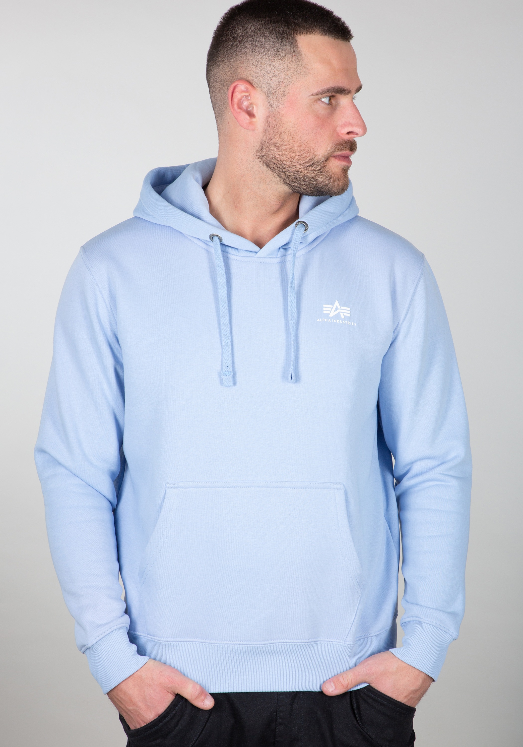 Alpha Industries Hoodie »Basic Hoodie SL«