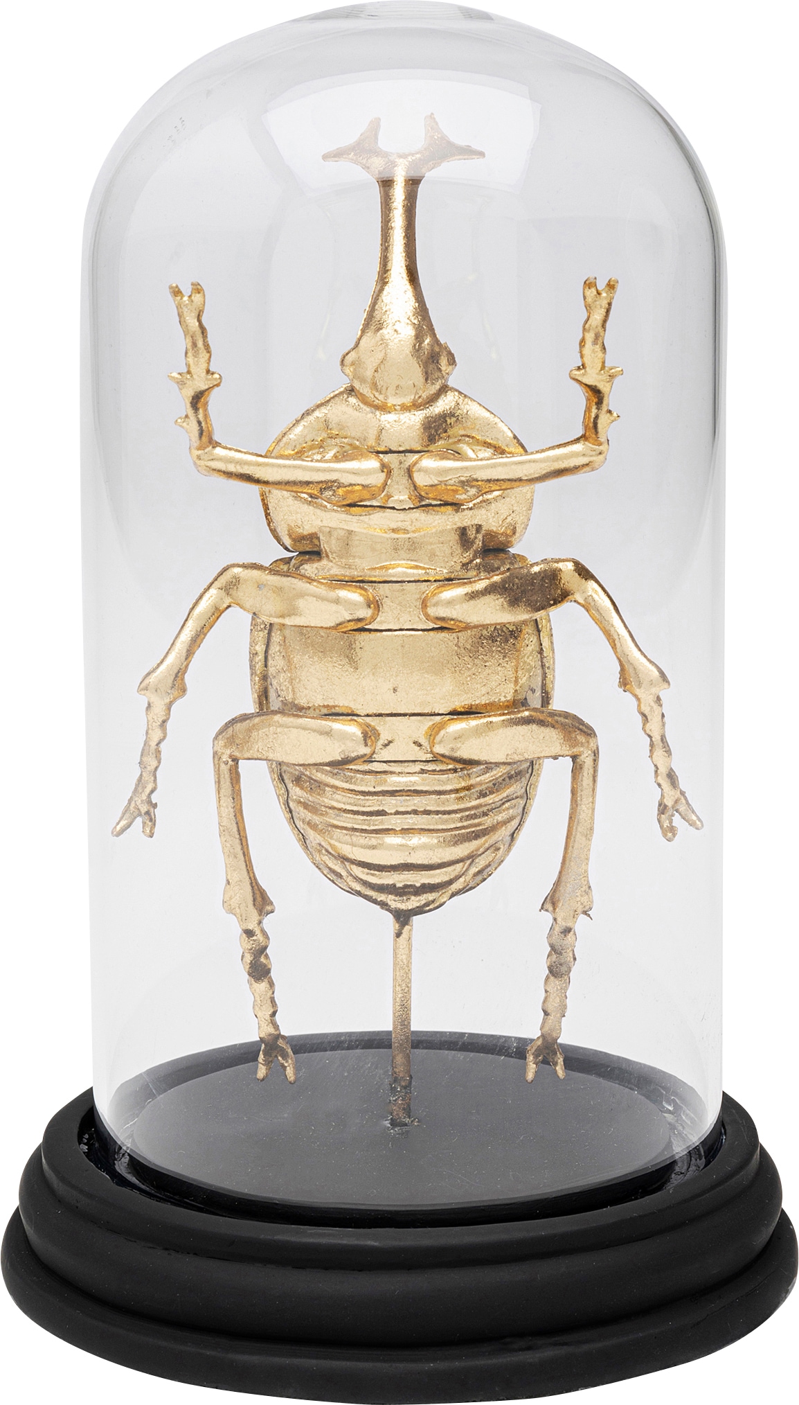 Kare Design Dekoobjekt »Stag Beetle 20cm«
