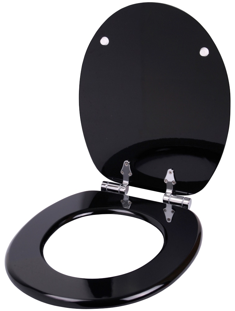 Sanilo WC-Sitz »Crystal Nova«, mit Absenkautomatik bestellen bei OTTO | Toilettenbürstenhalter