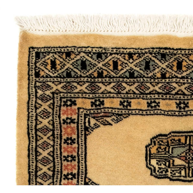 morgenland Orientteppich »Afghan - Buchara - 91 x 65 cm - hellbraun«,  rechteckig, Wohnzimmer, Handgeknüpft, Einzelstück mit Zertifikat online bei  OTTO