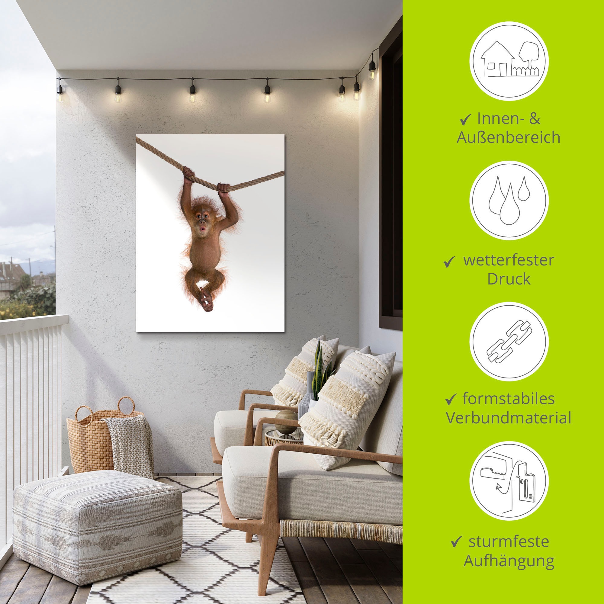 Artland Wandbild »Baby Orang Utan hängt an Seil II«, Wildtiere, (1 St.), als Alubild, Outdoorbild, Leinwandbild, Poster, Wandaufkleber