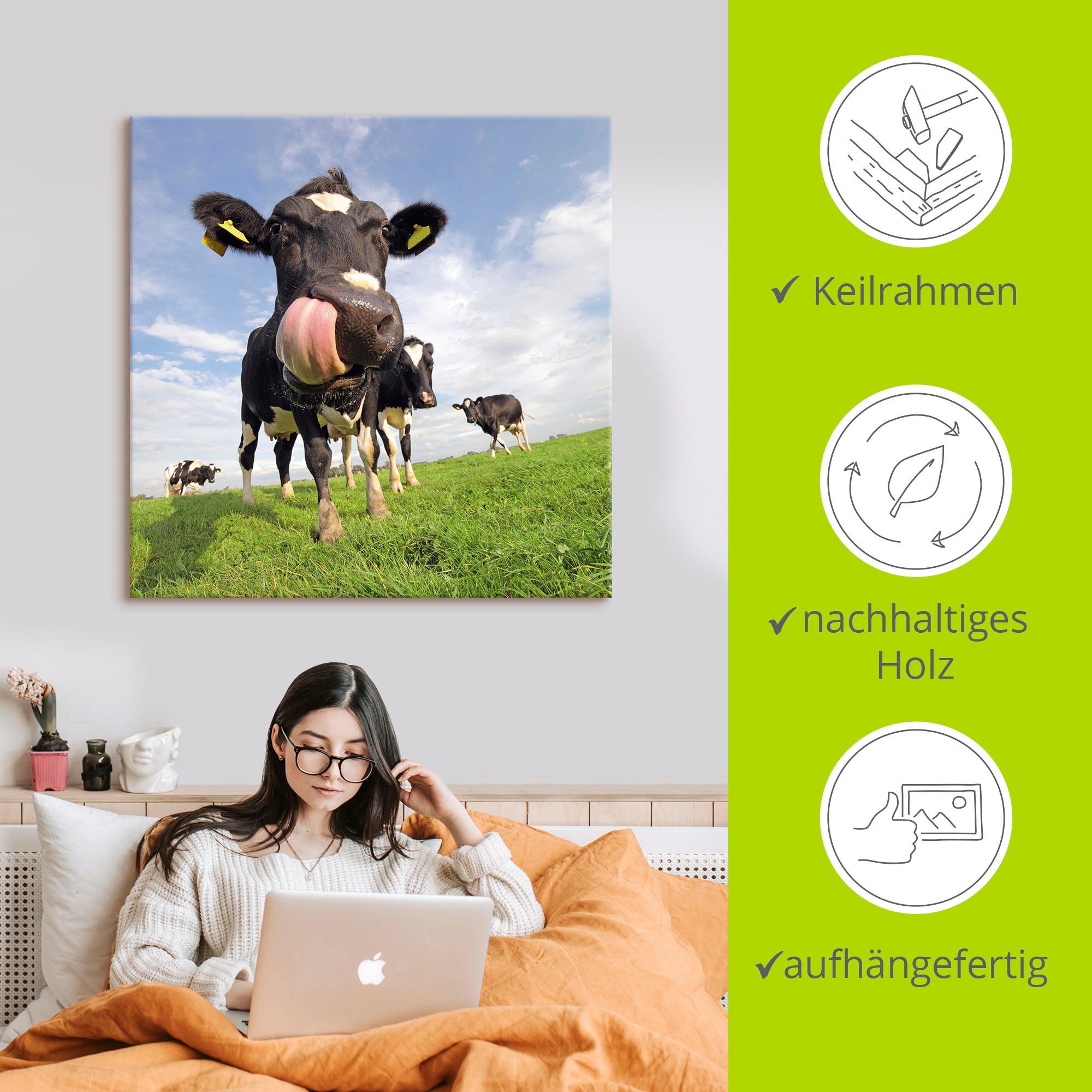Artland Wandbild »Holstein-Kuh mit gewaltiger Zunge«, Haustiere, (1 St.), als Alubild, Outdoorbild, Leinwandbild, Poster, Wandaufkleber