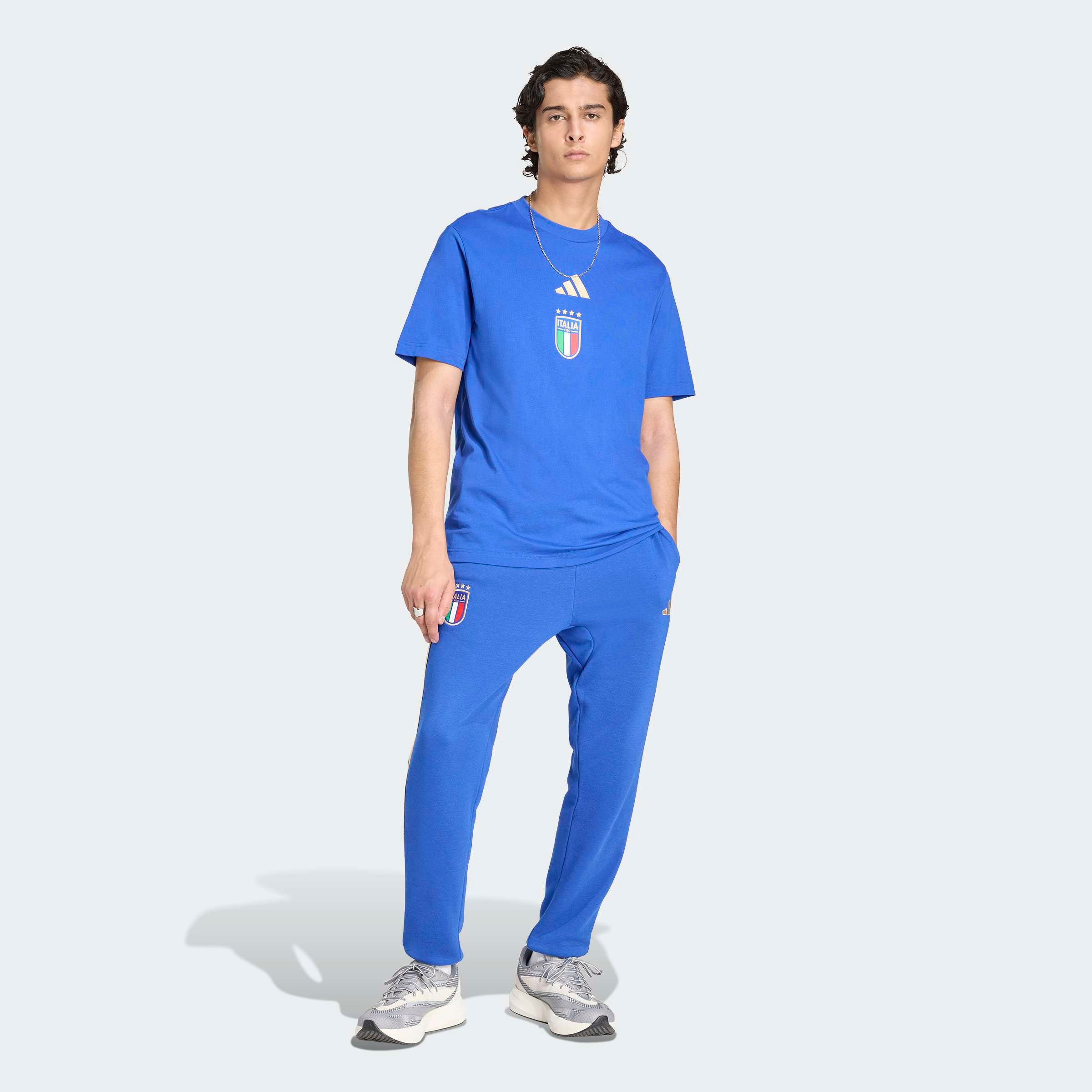 adidas Performance T-Shirt »FIGC DNA GR TEE«
