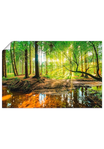 Artland Wandbild »Wald mit Bach«, Wald, (1 St.) kaufen