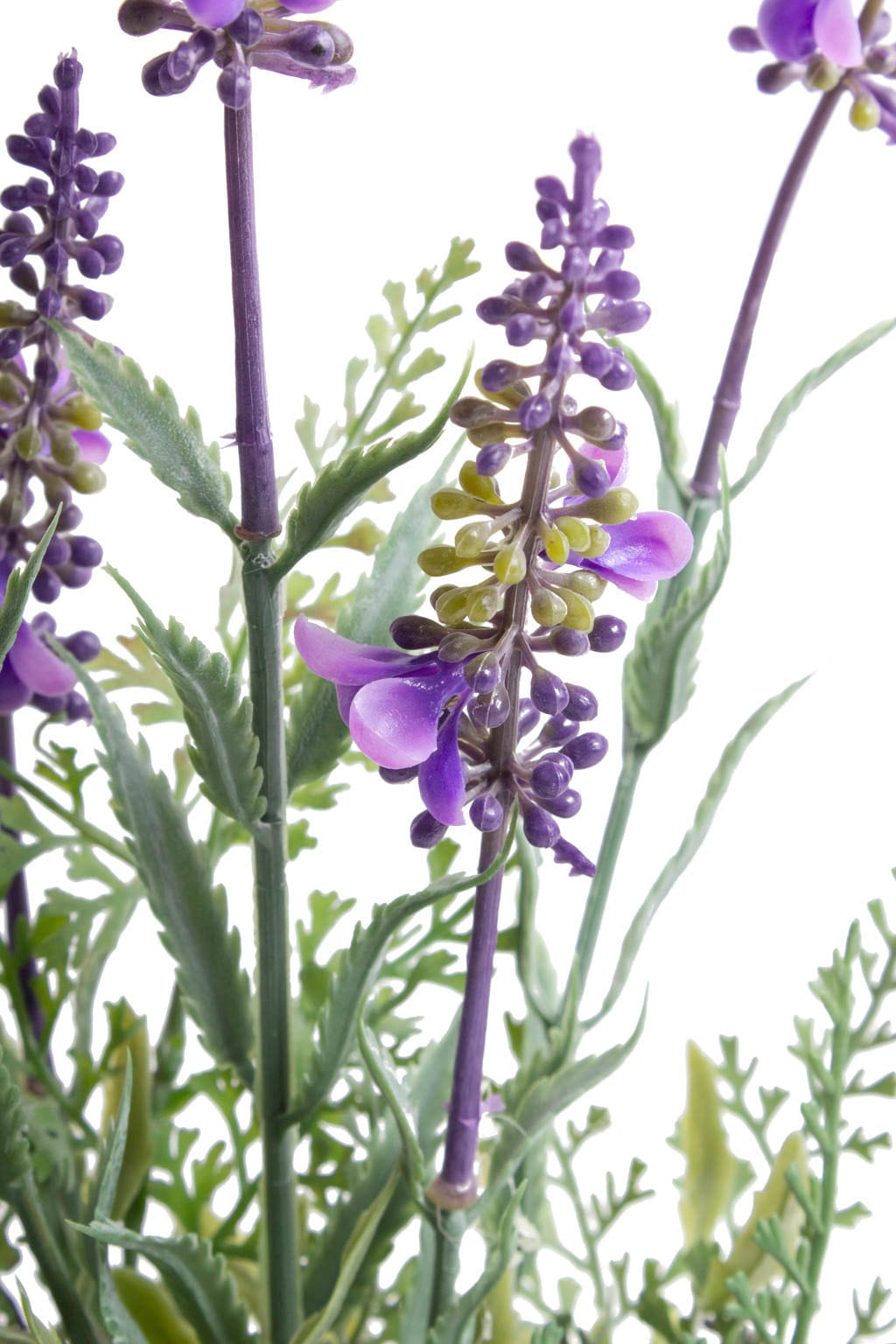 Botanic-Haus Künstliche Zimmerpflanze St.) Shop 2 »Lavendel«, Online OTTO kaufen im (Set