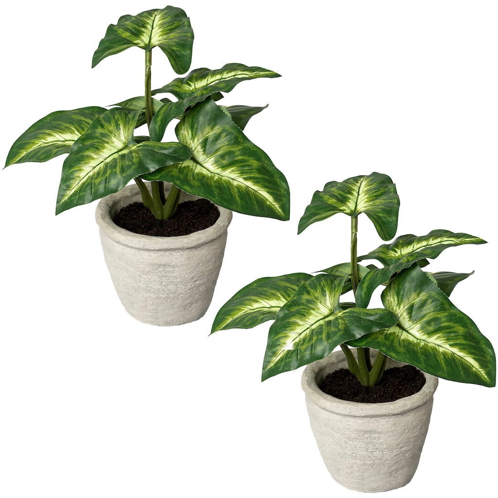 Creativ green Künstliche Zimmerpflanze »Blattpflanze Syngonium«