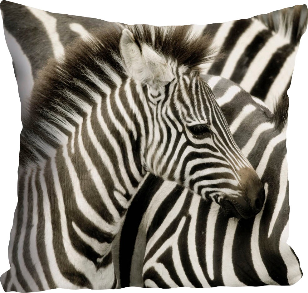 queence Kissenhülle »Richard«, (1 St.), mit Zebra