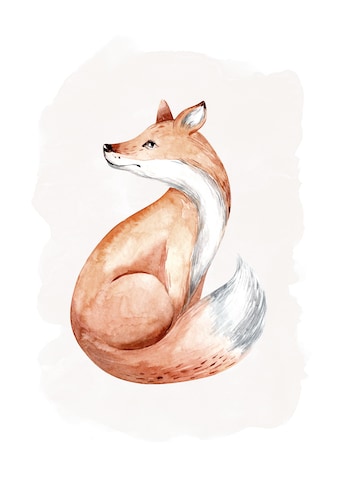 Komar Poster »Curious Fox«, (1 St.) kaufen