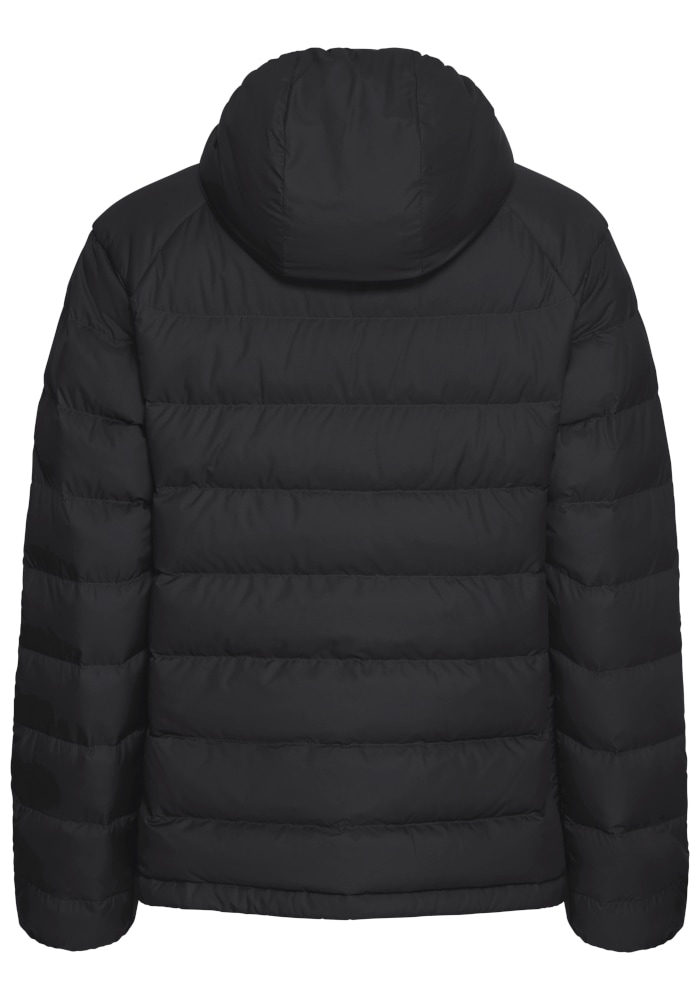 Jack Wolfskin Daunenjacke »WILD PASS DOWN HOODY W RDS« mit Kapuze Daunenjacke mit Kapuze, warm, wind- und wasserabweisend