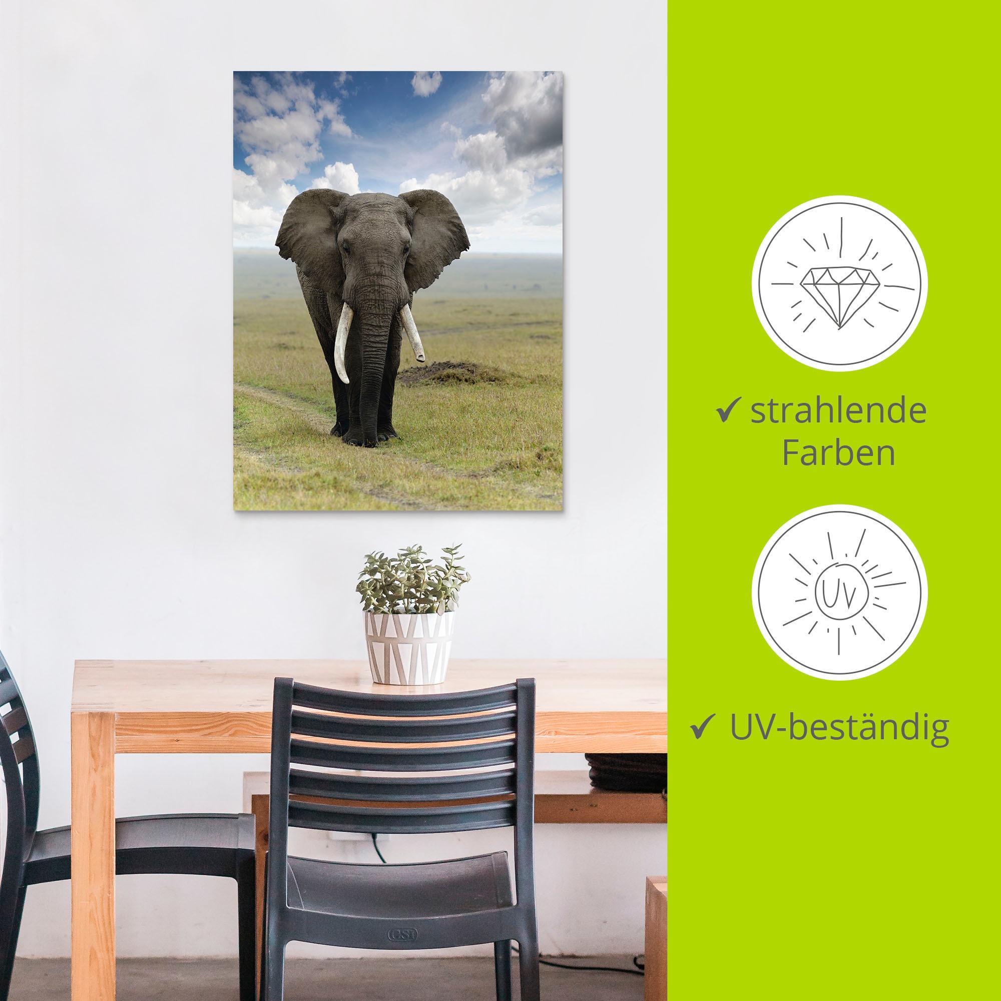 Artland Wandbild »Elefant« Wildtiere 1 Stk. tlg. als Alubild, Leinwandbild in verschied. Größen