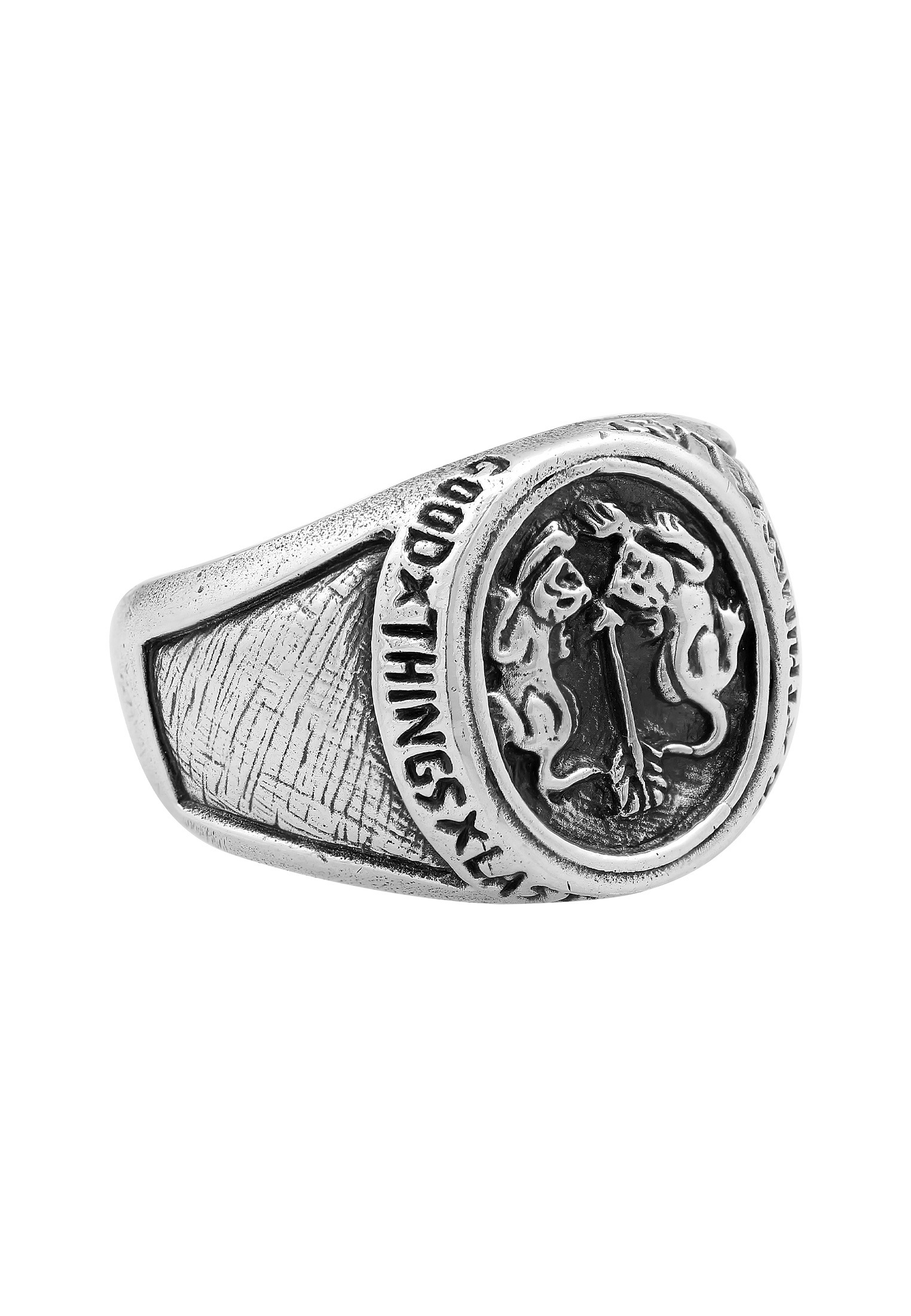 HAZE & GLORY Siegelring »Ring Siegelring - Twin Tiger 925 Silber«