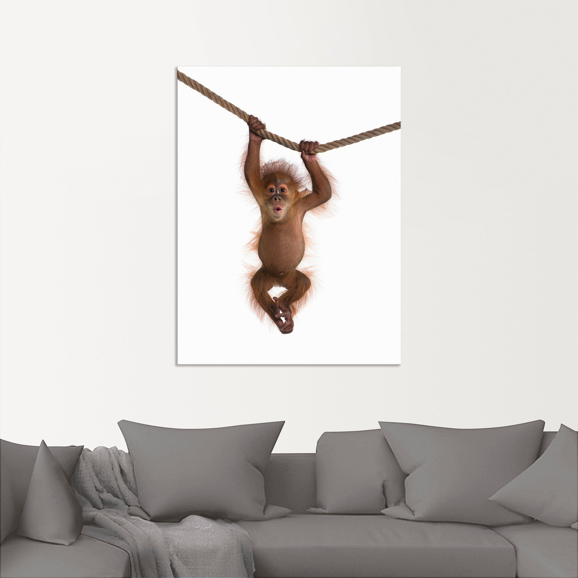 Artland Wandbild »Baby Orang Utan hängt an Seil II«, Wildtiere, (1 St.), als Alubild, Outdoorbild, Leinwandbild, Poster, Wandaufkleber