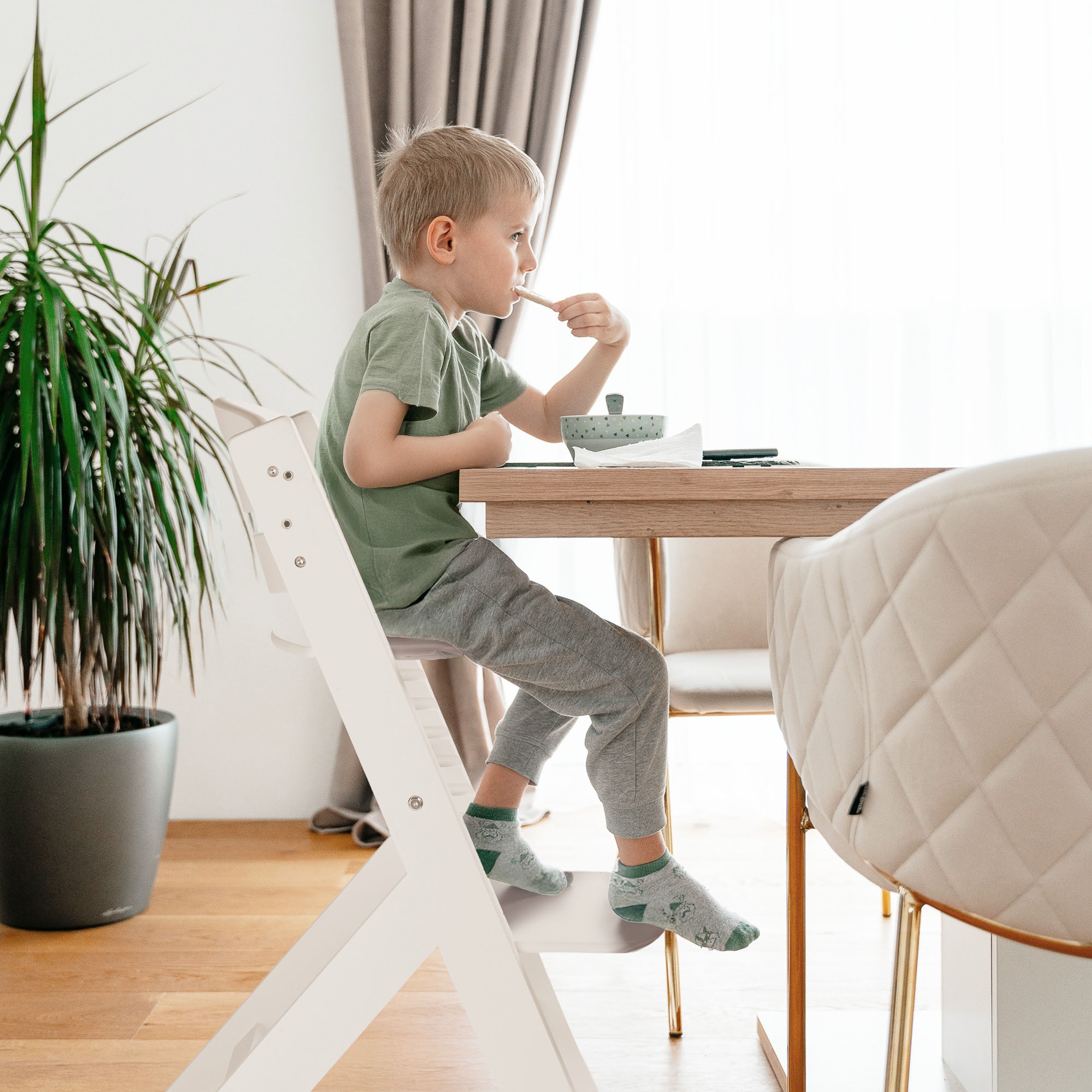 BabyGo Hochstuhl »Family Pro« ()