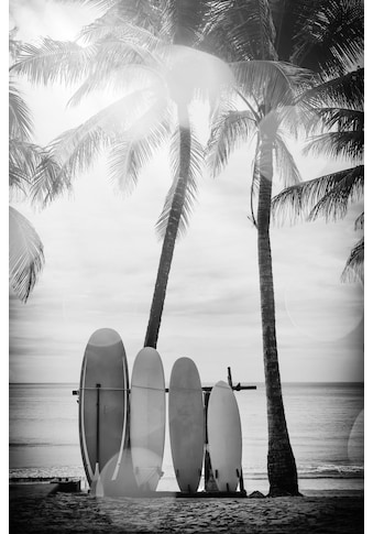 queence Acrylglasbild »Surfboards« kaufen