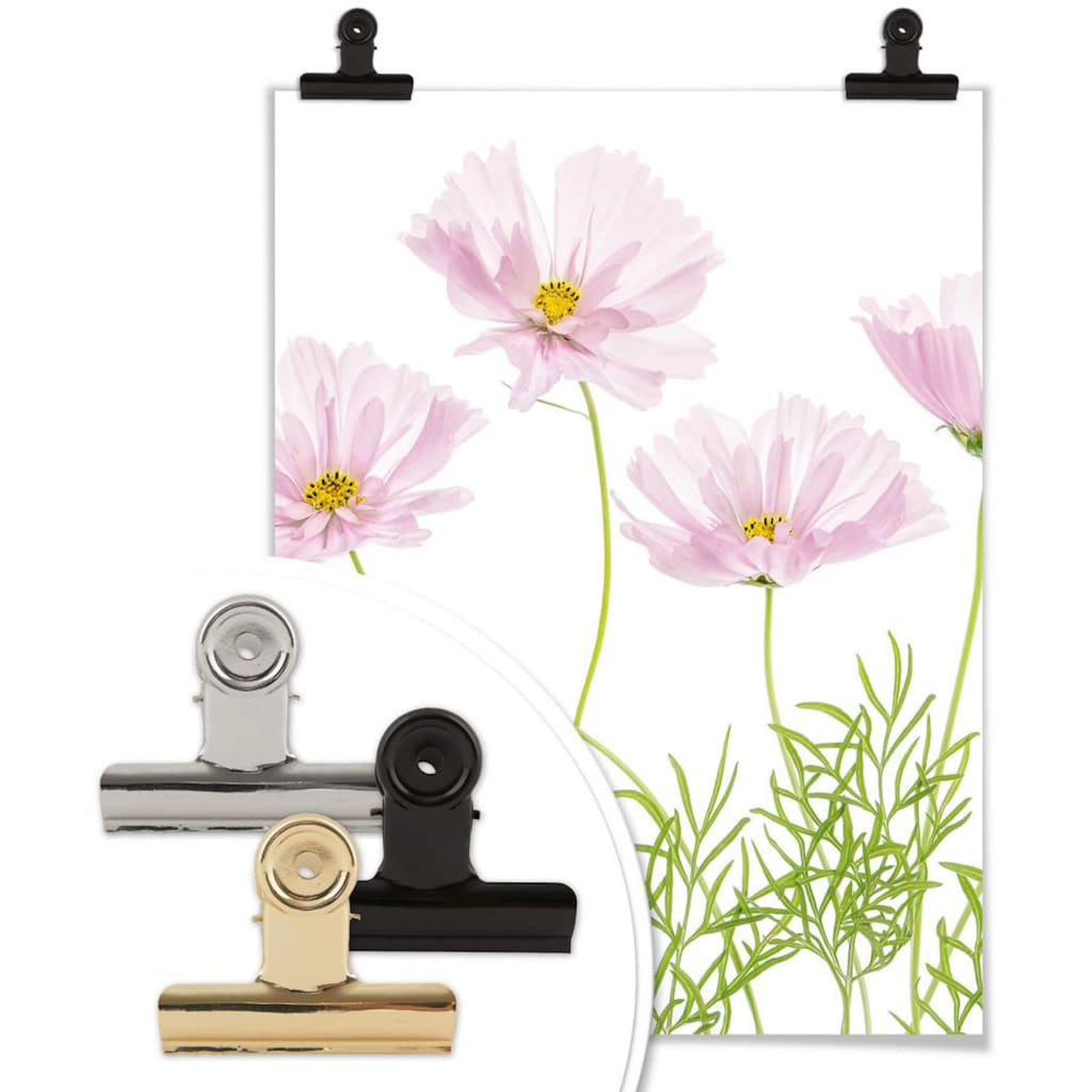 Wall-Art Poster »Sommerblume«, Blumen, (1 St.)