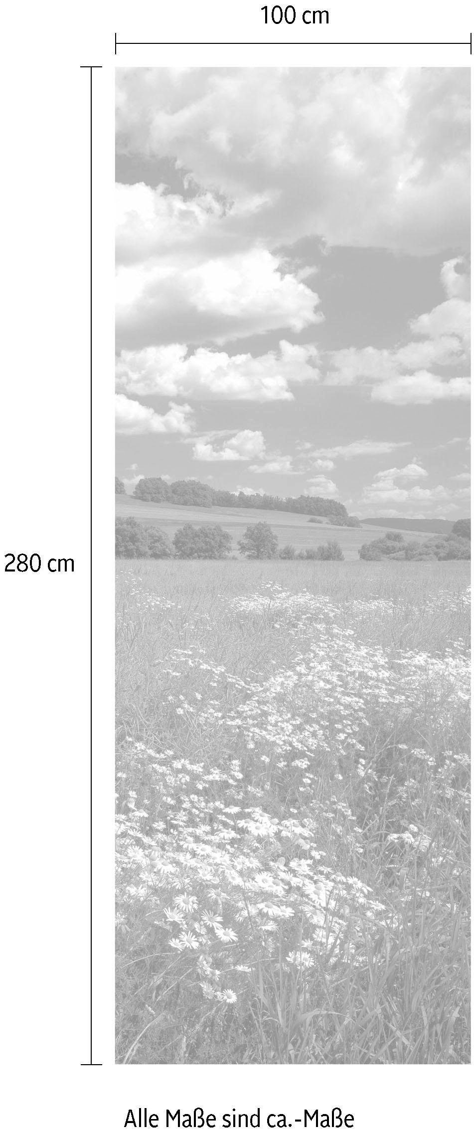 Komar Vliestapete »Digitaldruck Vlies -  Meadow - Größe 100 x 280 cm« bedruckt glatt Wohnzimmer, Schlafzimmer