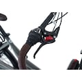 Adore E-Bike »Lastenrad Urban Deluxe«, 7 Gang, Shimano, Acera, Heckmotor 250 W