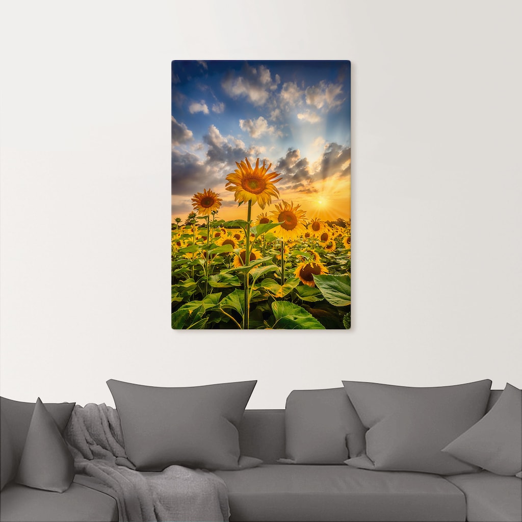 Artland Wandbild »Sonnenblumen im Sonnenuntergang«, Blumenbilder, (1 St.)