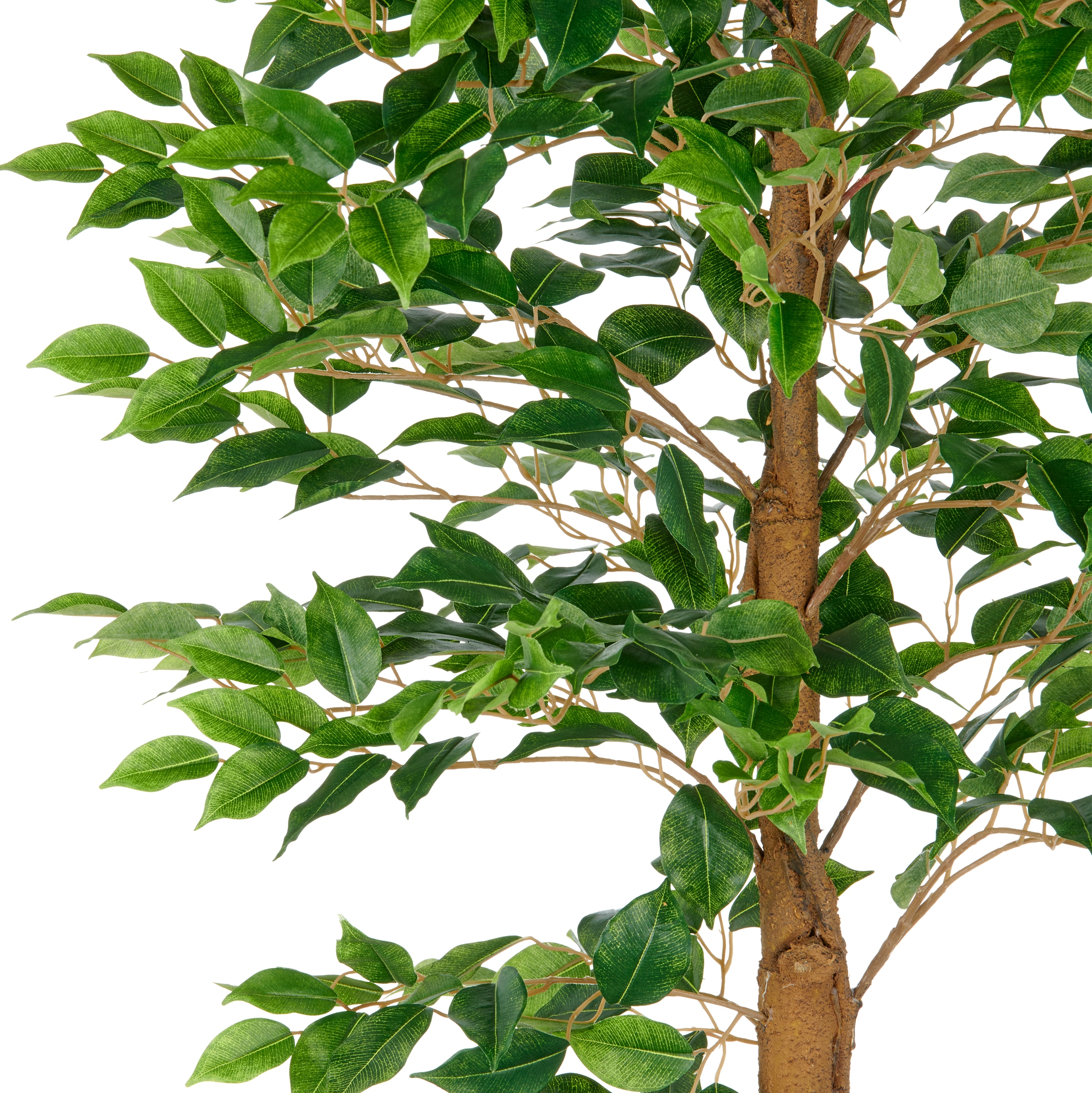 Creativ green Kunstbaum »Ficus Benjamina«, mit naturgetreuem Blattwerk und Stamm