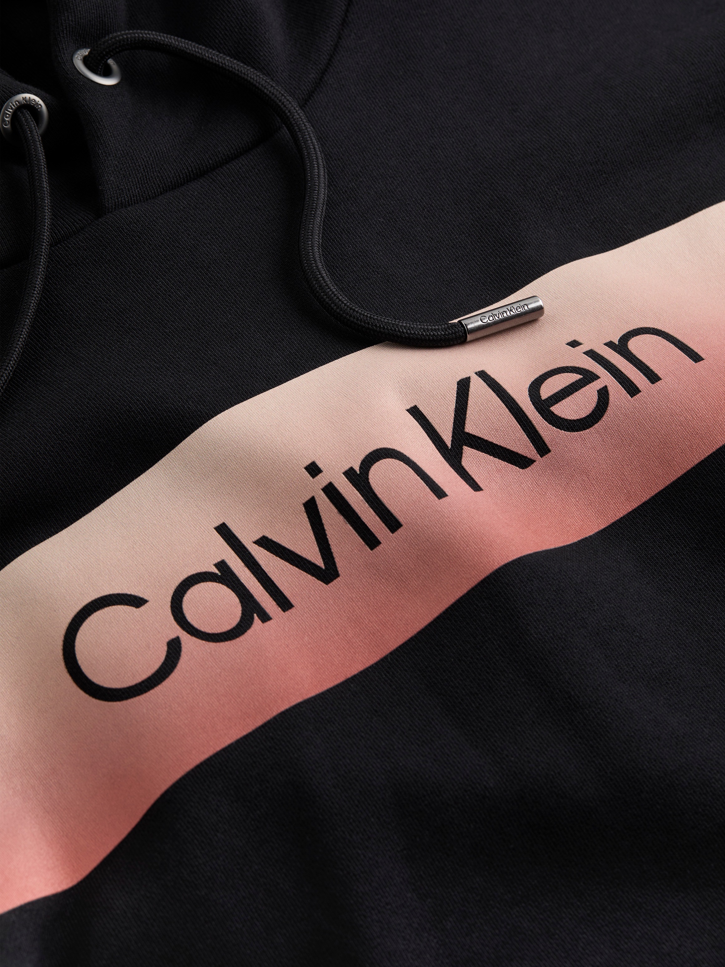 Calvin Klein Hoodie »LINEAR OMBRE CHEST LOGO HOODIE«, mit Logo