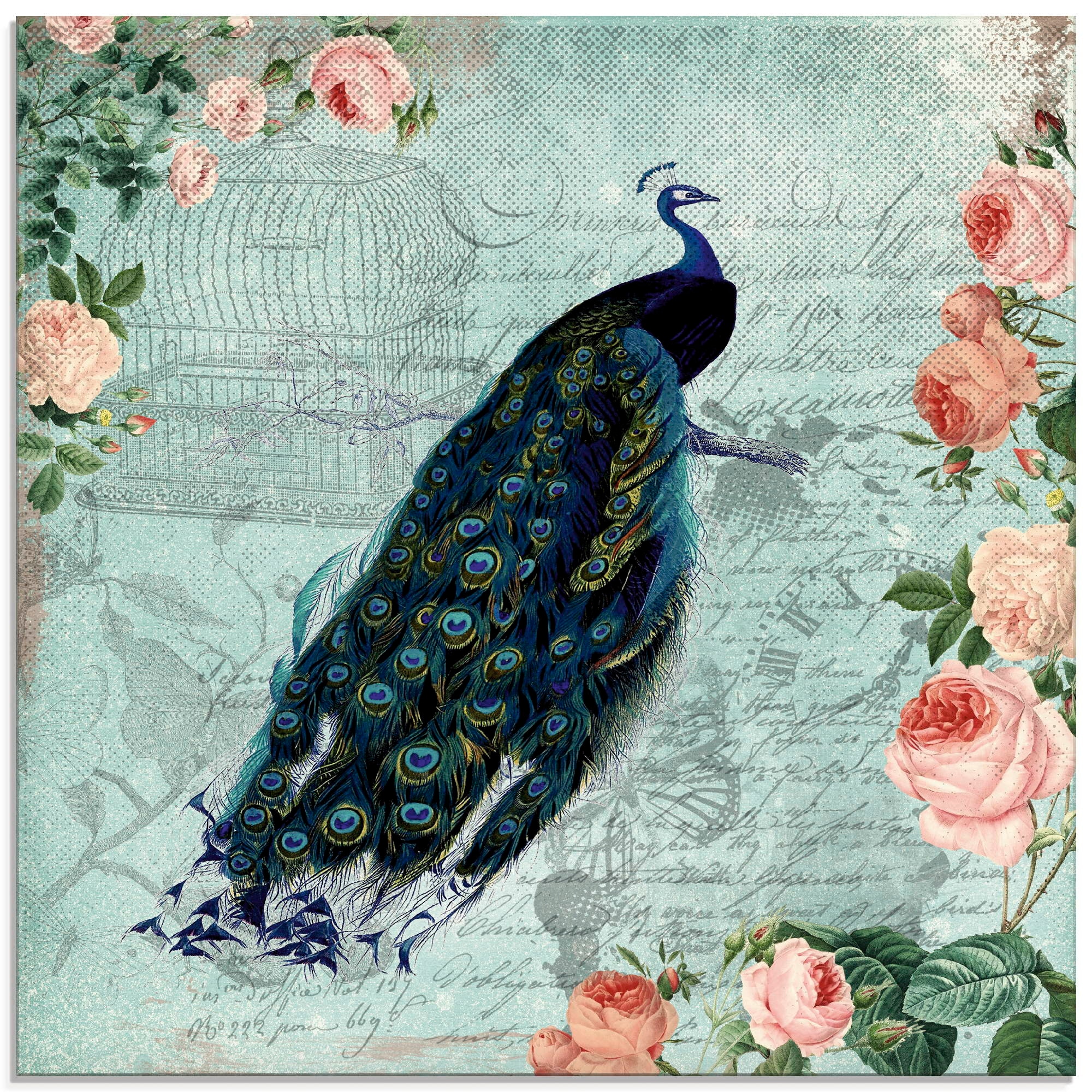 Glasbild »Vintage Rosen und Pfau Illustration«, Vögel, (1 St.), in verschiedenen Größen