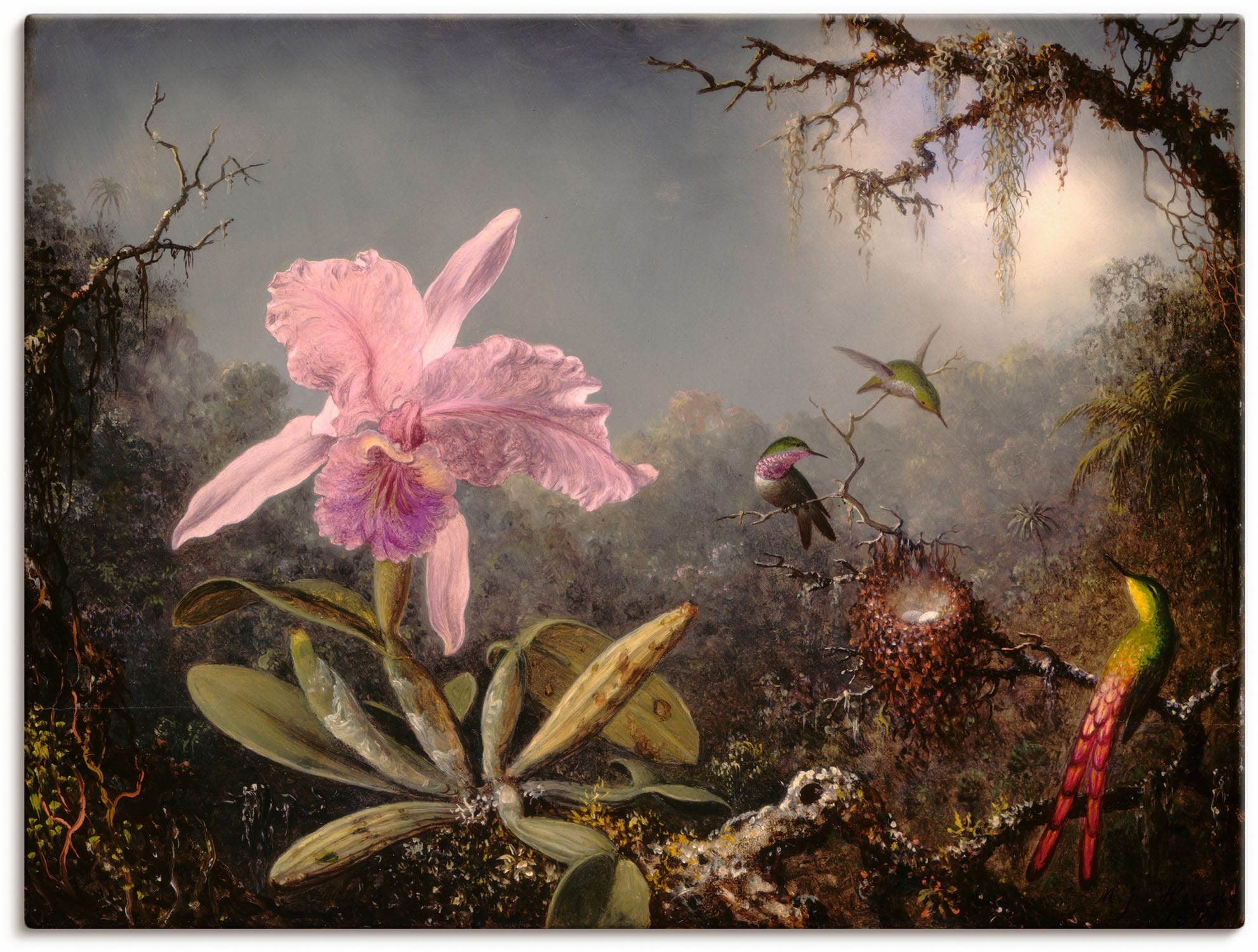 Artland Wandbild drei OTTO Alubild, Leinwandbild, im oder »Cattleya in Orchidee (1 St.), Kolibris.«, Poster als und versch. Größen Wandaufkleber Online Blumenbilder, Shop