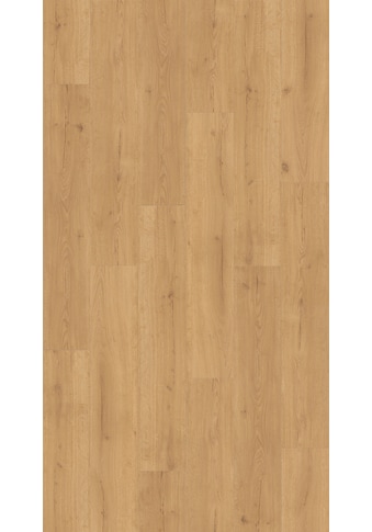 PARADOR Vinylboden »Basic 2.0 - Eiche Infinity Natur«, 122,2 x 22,9 x 0,2 cm, 4,5 m² kaufen
