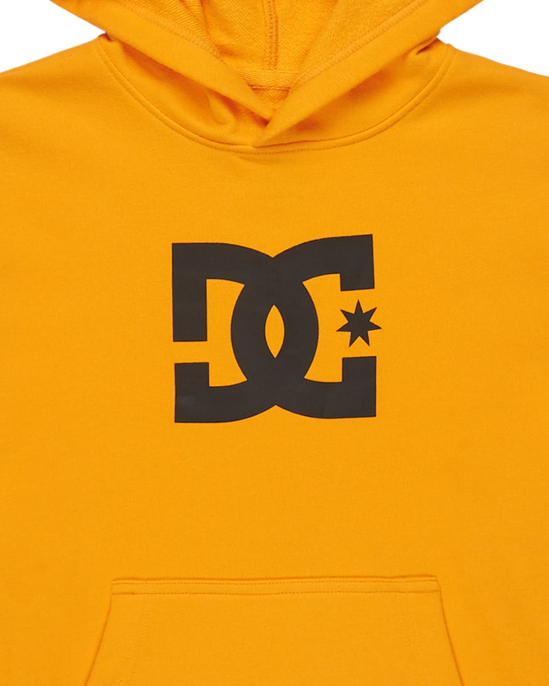 DC Shoes Kapuzensweatshirt »DC Star«