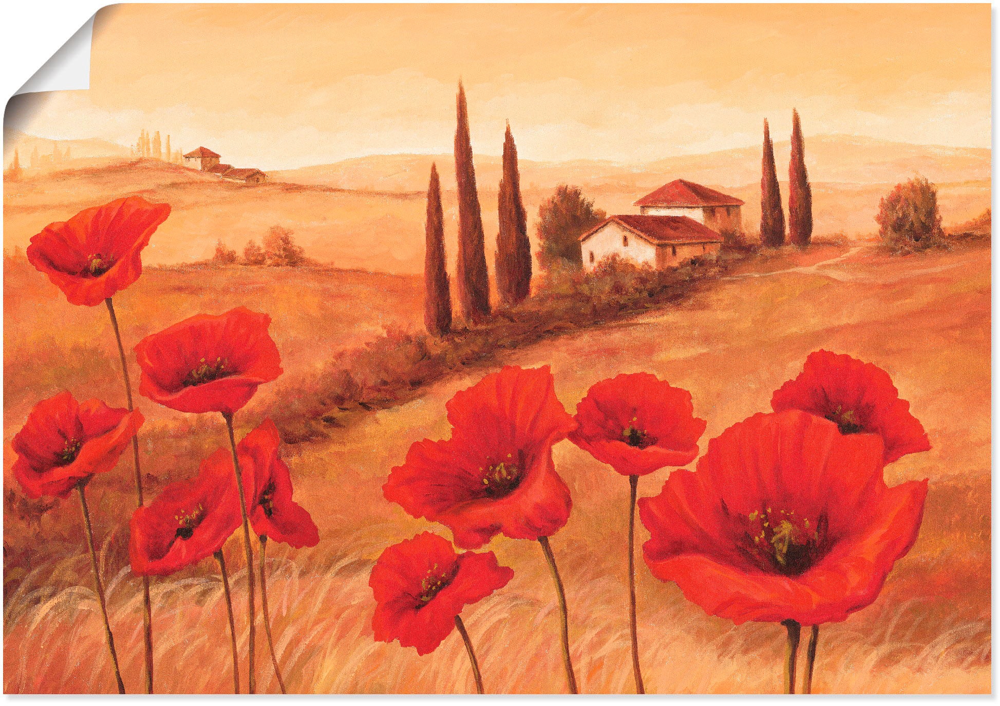 Artland Wandbild »Mohnblumen in der Toskana«, Europa, (1 St.), in vielen Größen & Produktarten - Alubild / Outdoorbild für den Außenbereich, Leinwandbild, Poster, Wandaufkleber / Wandtattoo auch für Badezimmer geeignet