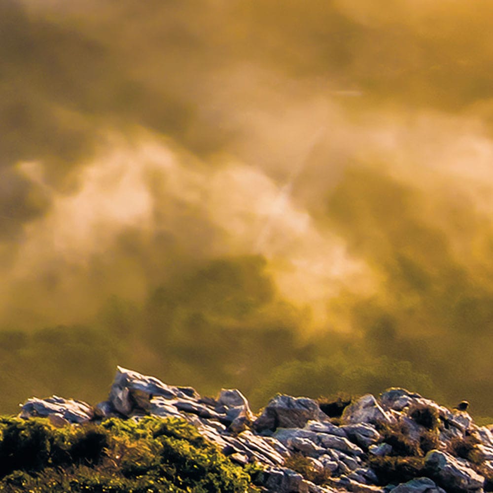 Komar Fototapete »Vlies Fototapete - Soul of Light - Größe 400 x 250 cm« Motiv | bedruckt glatt