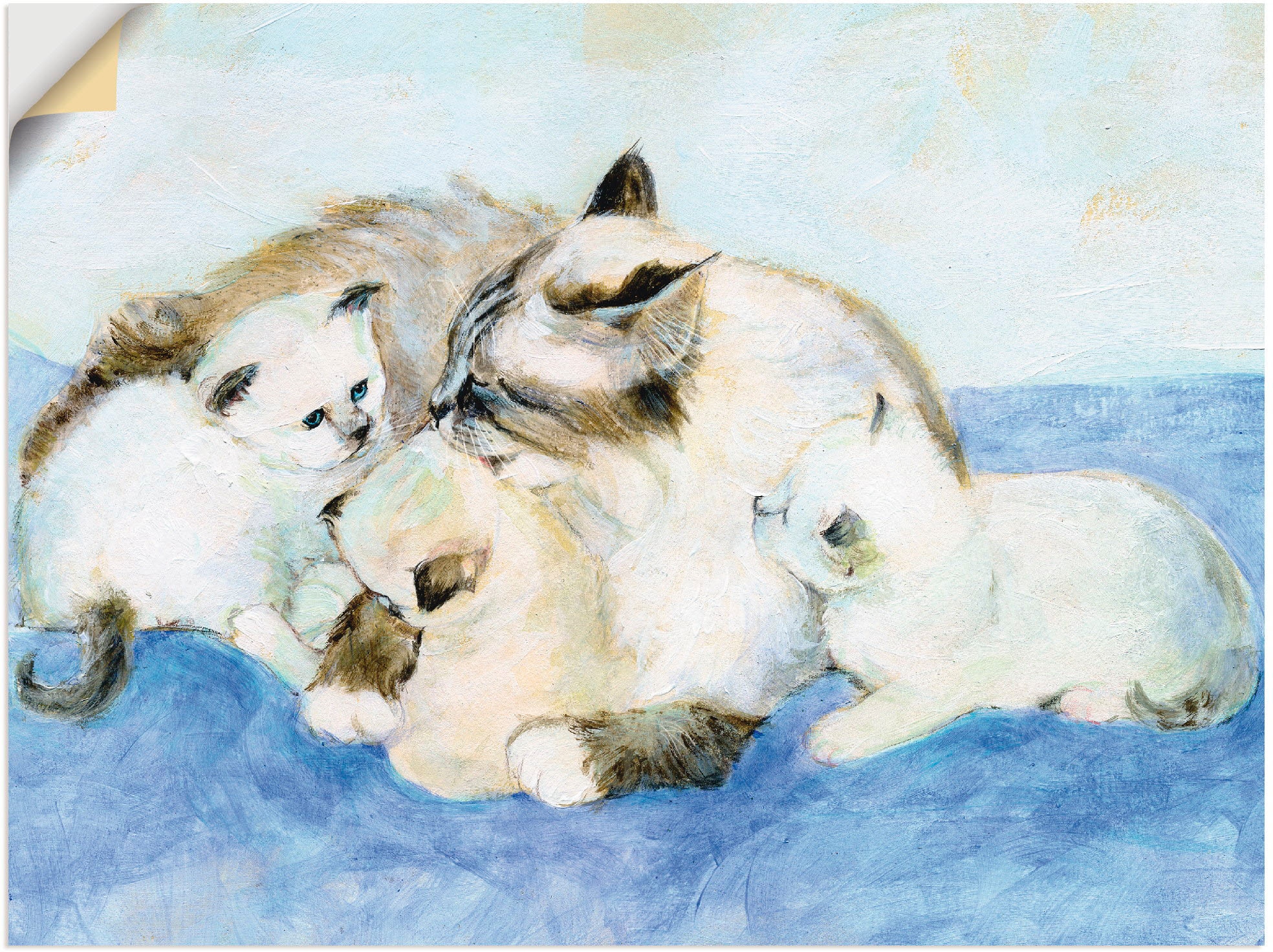 Artland Wandbild »Katzenfamilie«, Haustiere, (1 St.), als Leinwandbild, Wandaufkleber in verschied. Größen