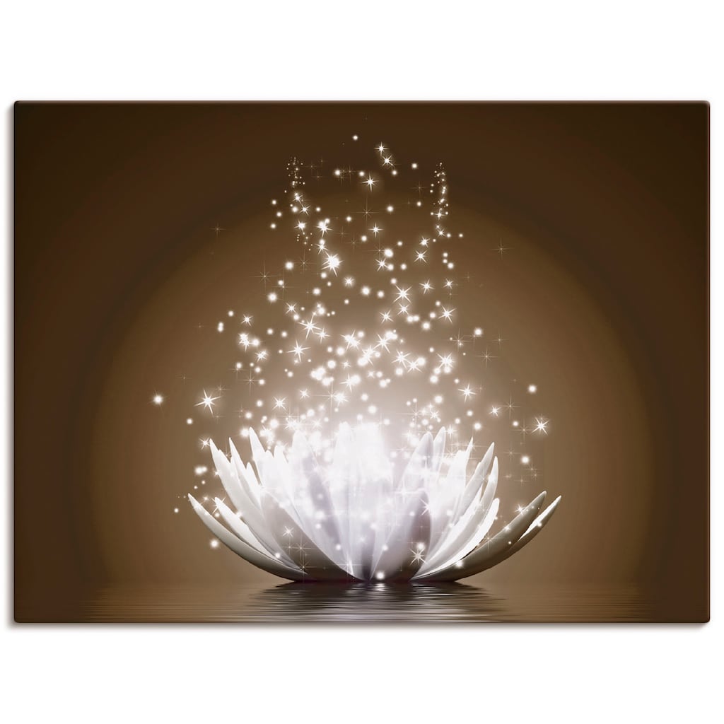 Artland Wandbild »Magie der Lotus-Blume«, Blumen, (1 St.)