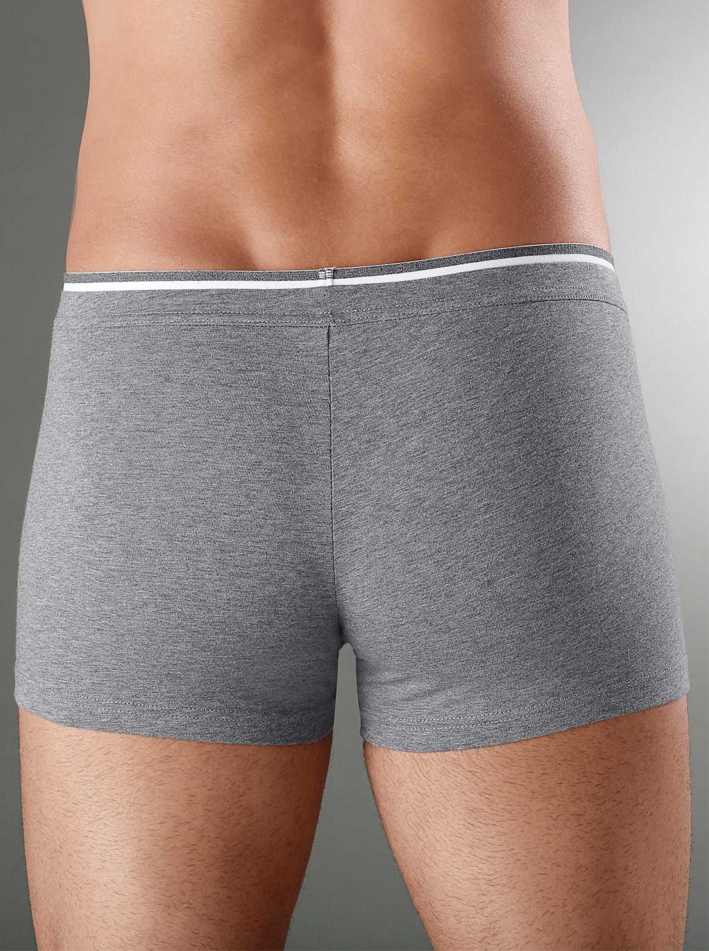 Wäschepur Herren Panty 3 Stk. tlg. in grau, Größe 7