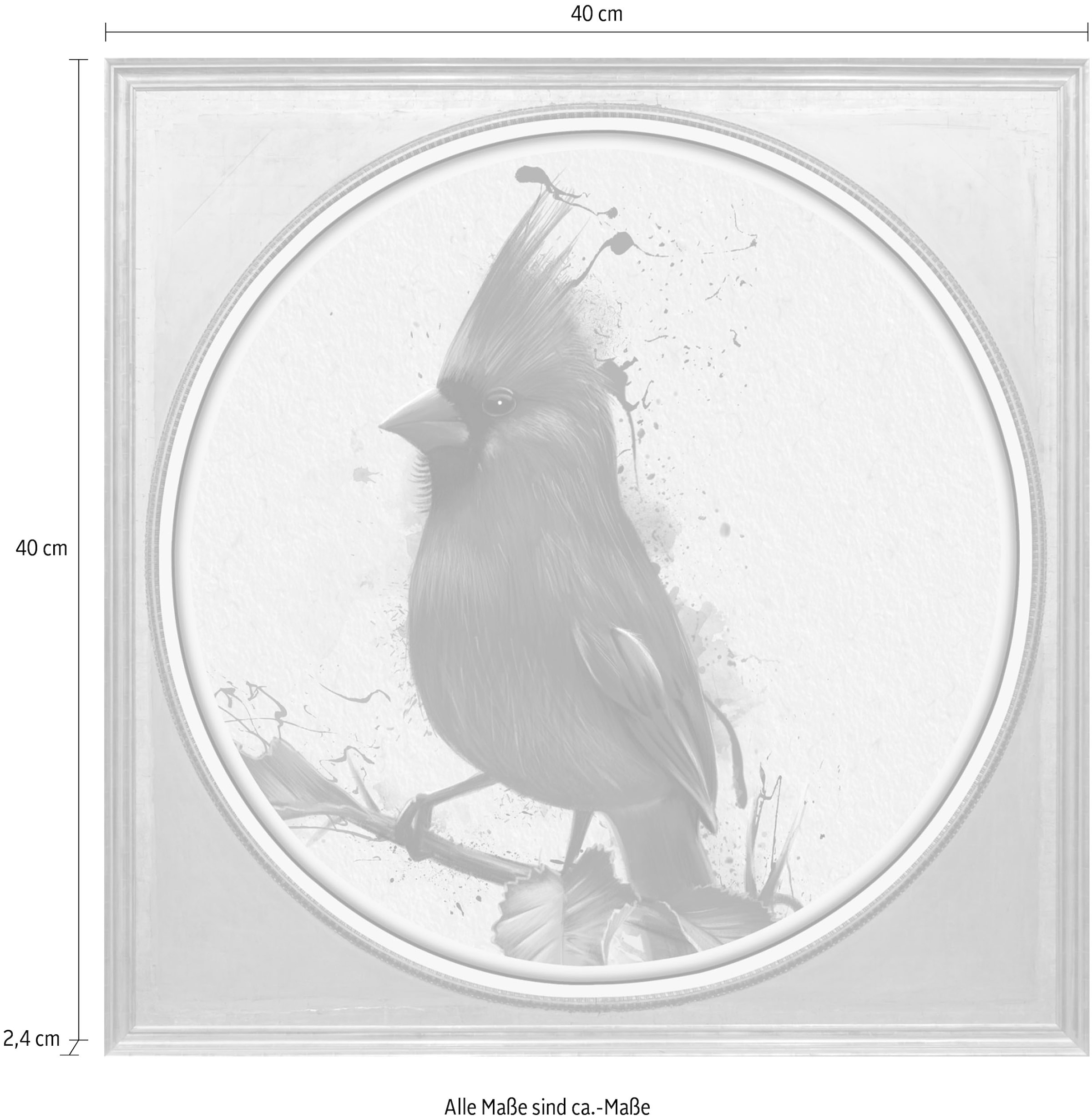 queence Acrylglasbild »Rotkehlchen«, Kunst-Vögel-Vogelbilder-Blumen-Blumenbilder-Gemälde, Fine Art-Print in Galeriequalität