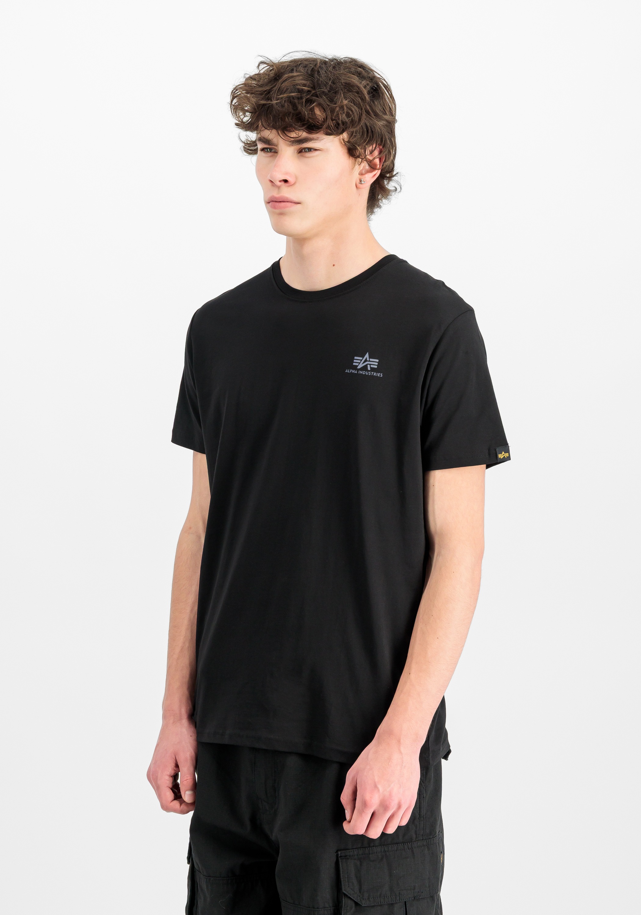 Alpha Industries T-Shirt »Backprint T-Shirt Reflective Print«