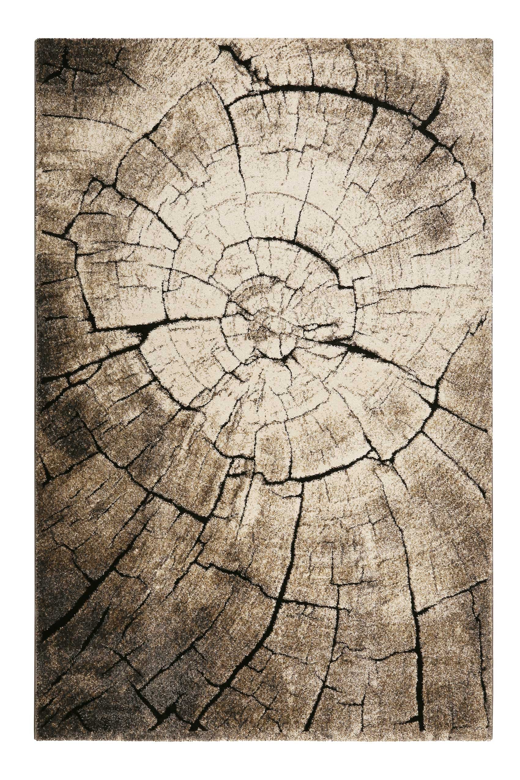 Wecon home Teppich »Wild Oak«, rechteckig, 13 mm Höhe, Holz Optik, Wohnzimmer