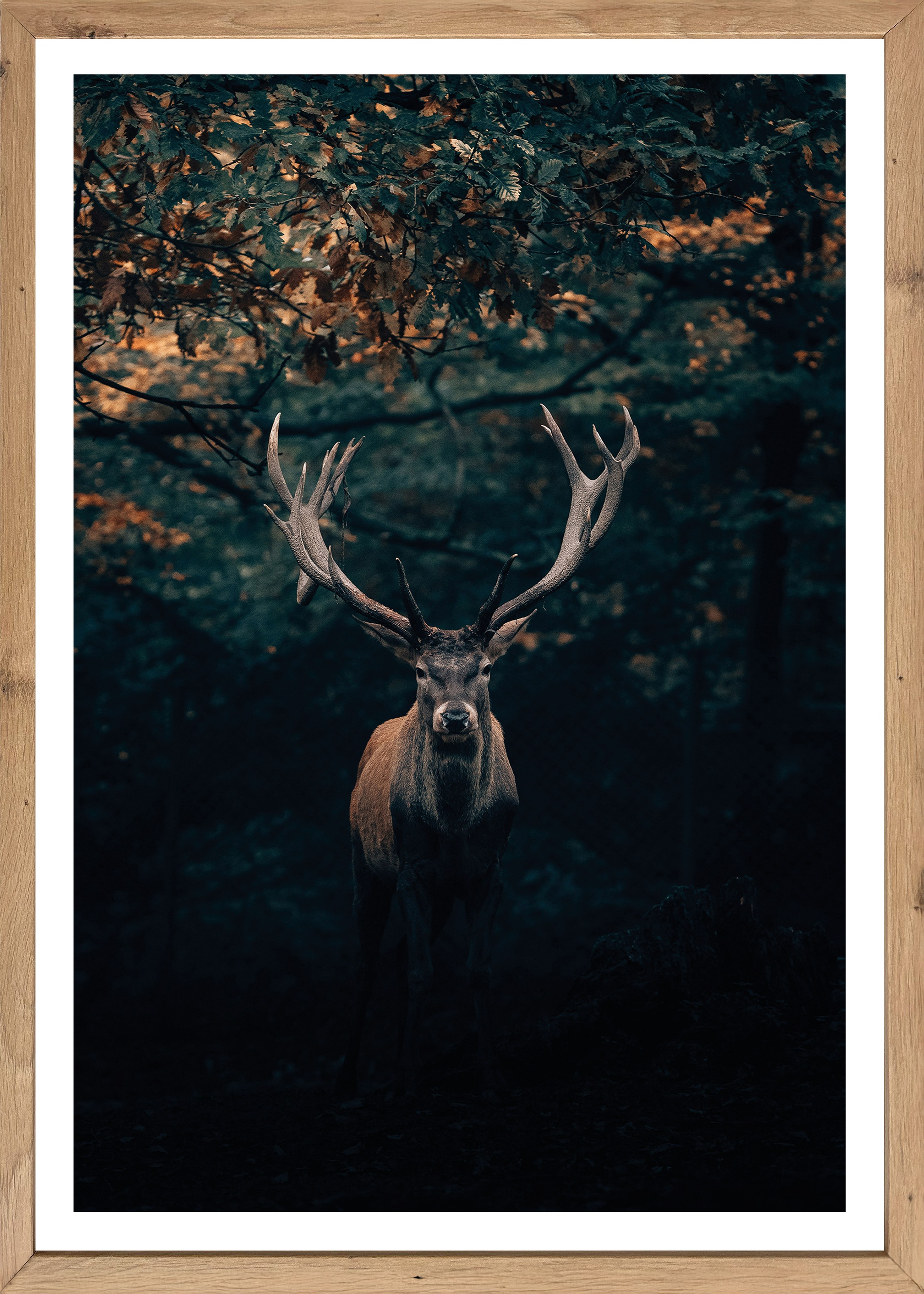 Bönninghoff Bild mit Rahmen, Hirsch-Hirschbilder-Hirsche-Wildtiere-Wald-Waldbilder-Natur, (1 St.)